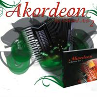 Постер альбома Akordeon, Vol. 2