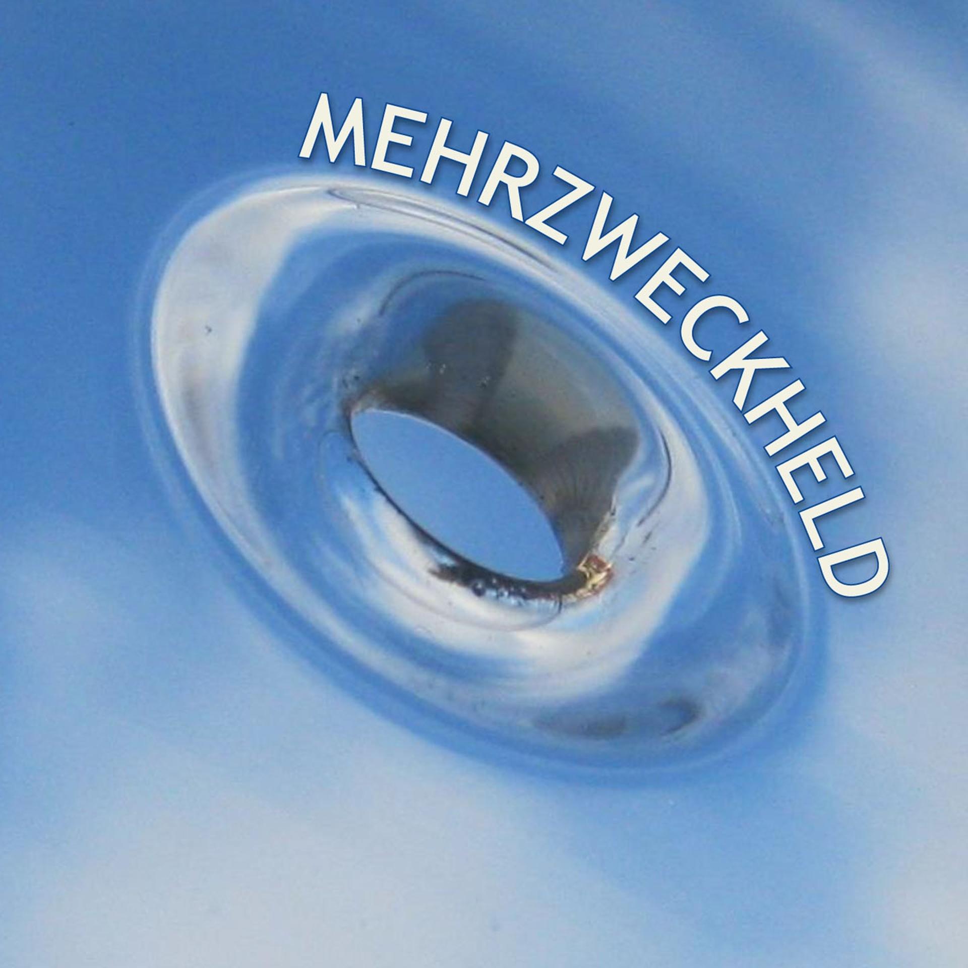 Постер альбома Mehrzweckheld