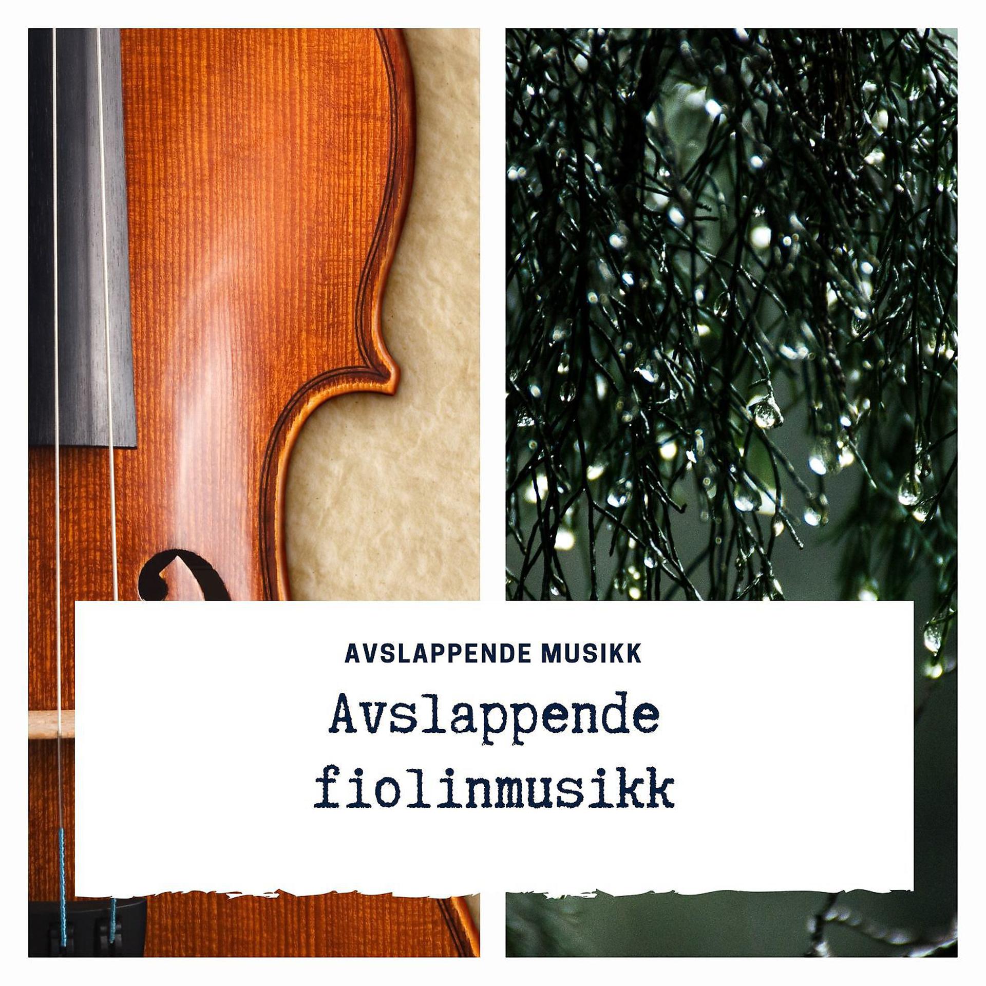 Постер альбома Avslappende fiolinmusikk