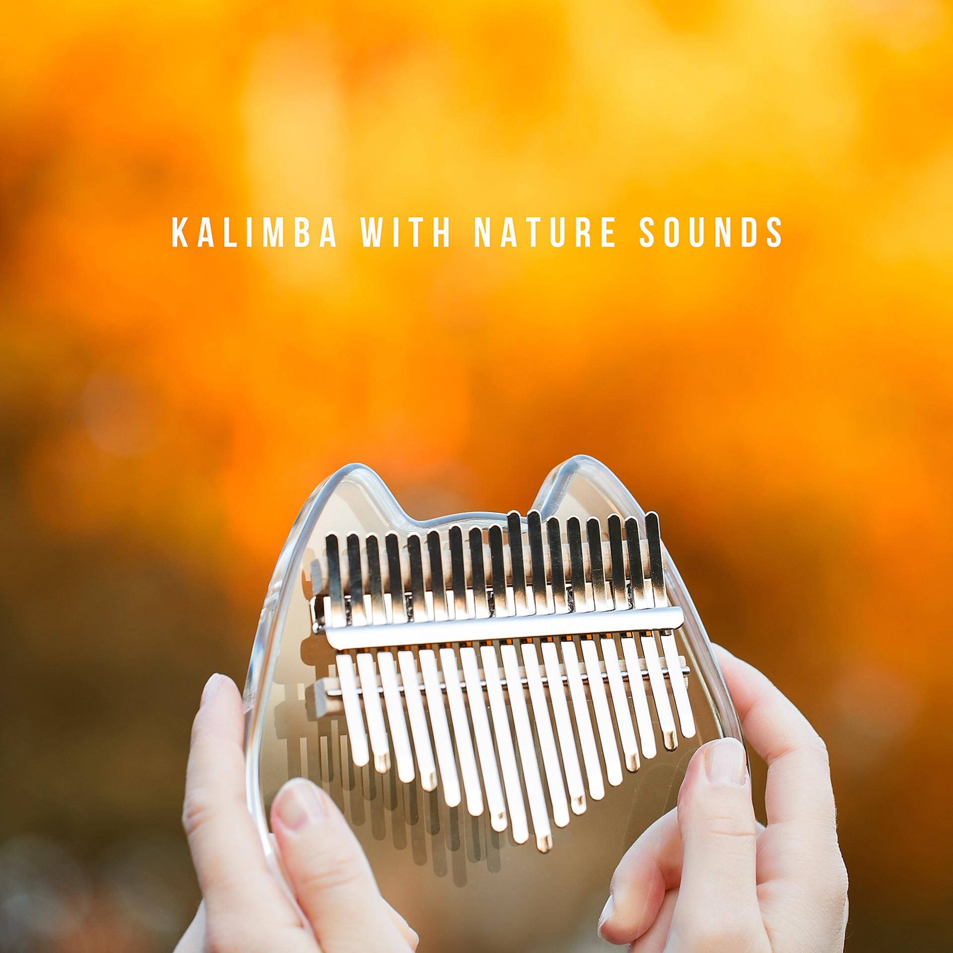 Постер альбома Kalimba with Nature Sounds: Ocean Waves, River, Wind and Rain