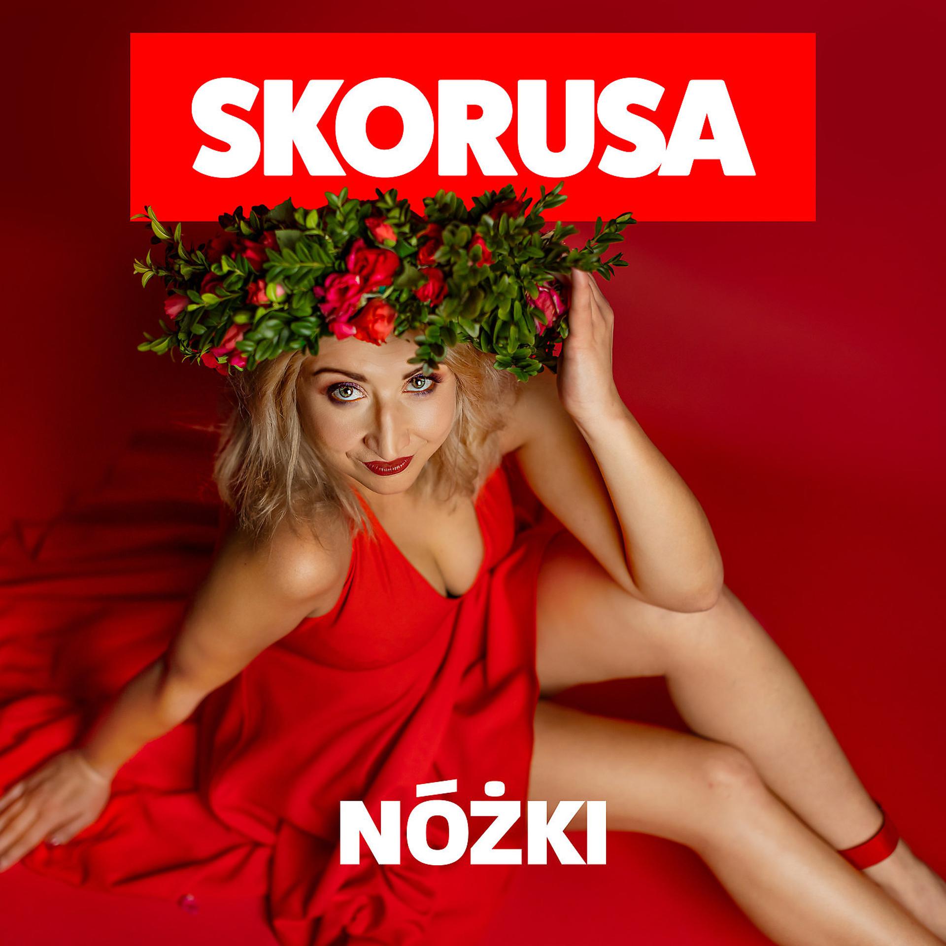 Постер альбома Nozki
