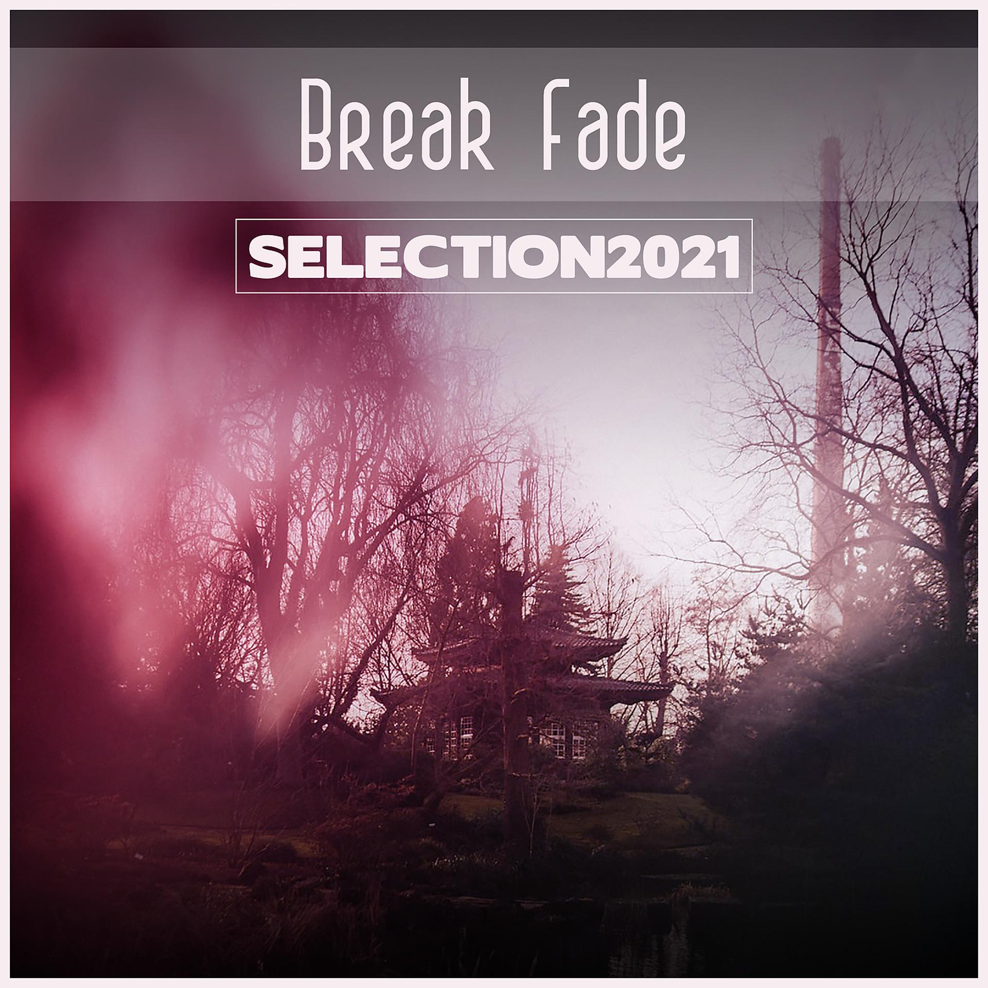 Постер альбома Break Fade Selection 2021