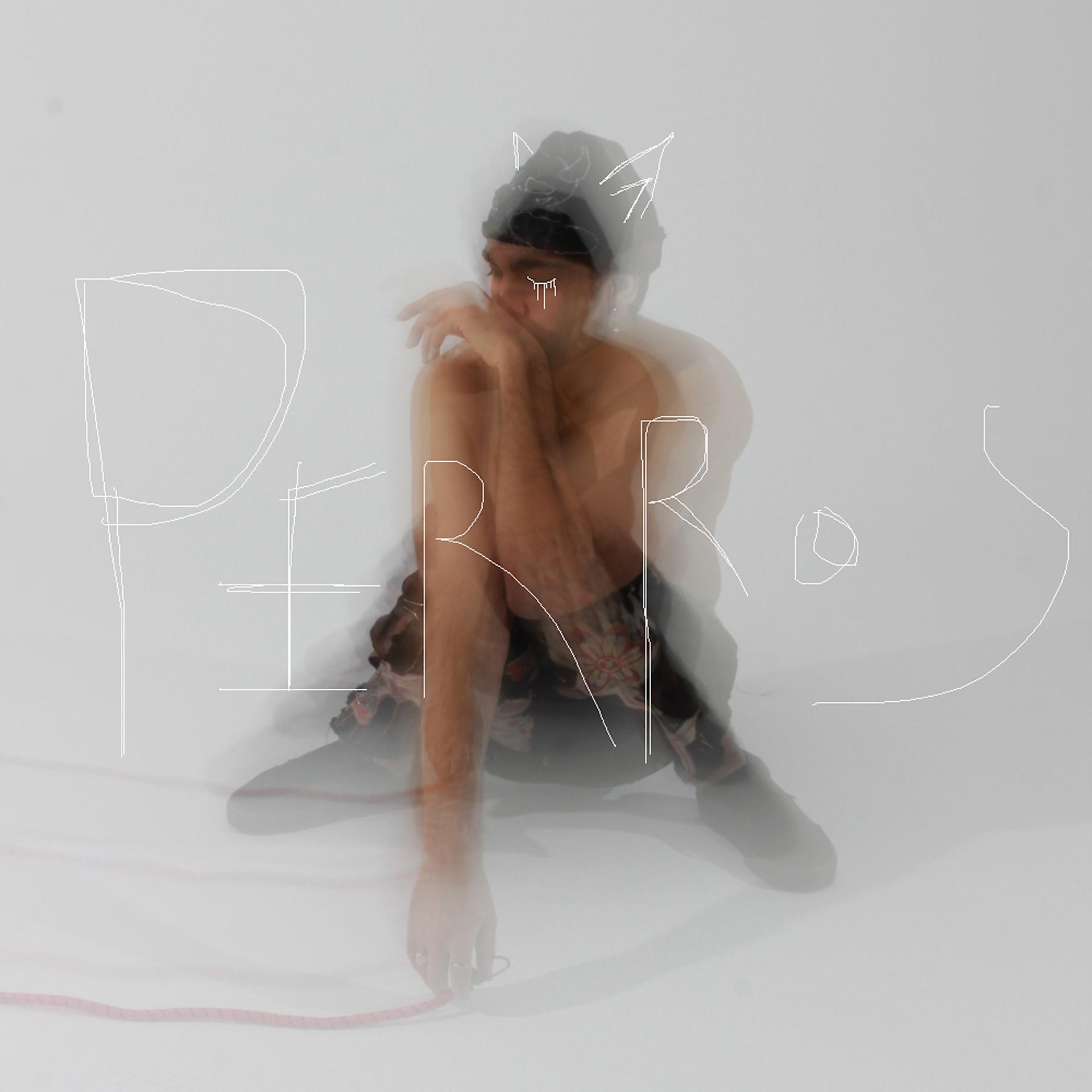Постер альбома Perros