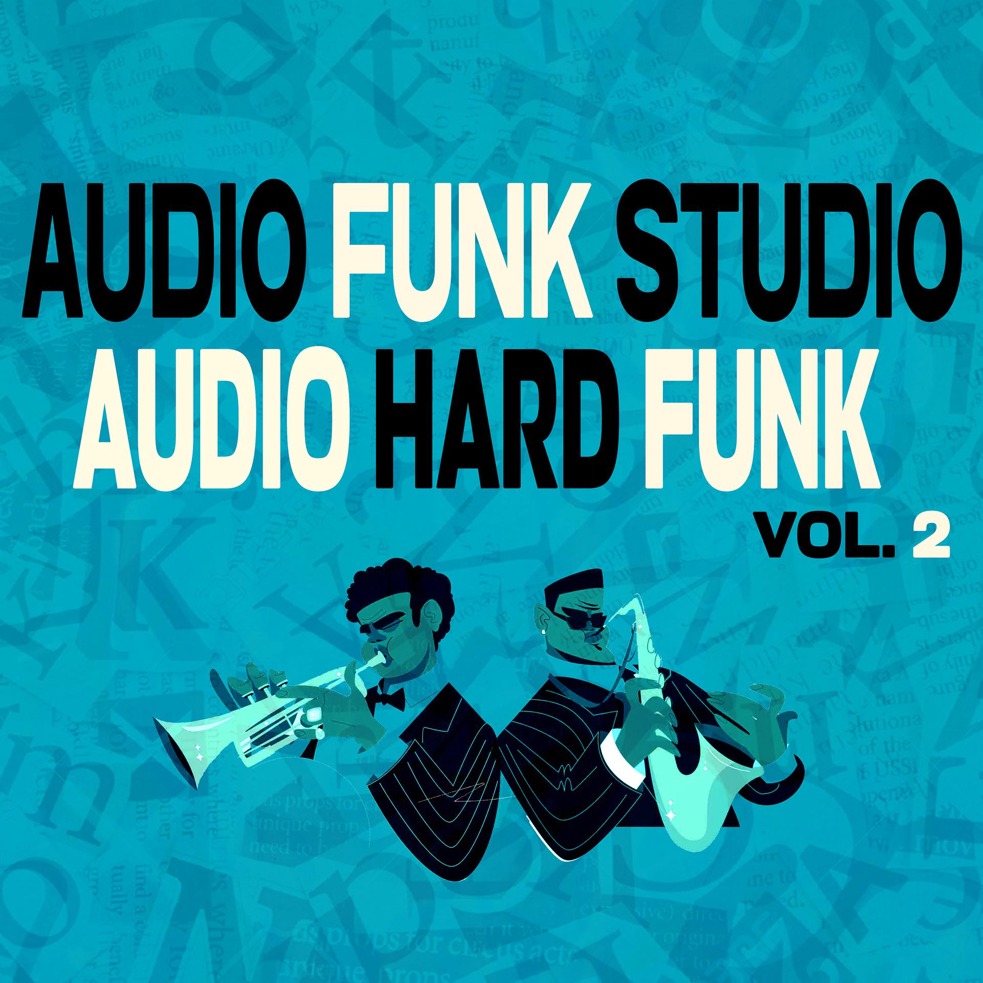 Постер альбома Audio Hard Funk, Vol. 2
