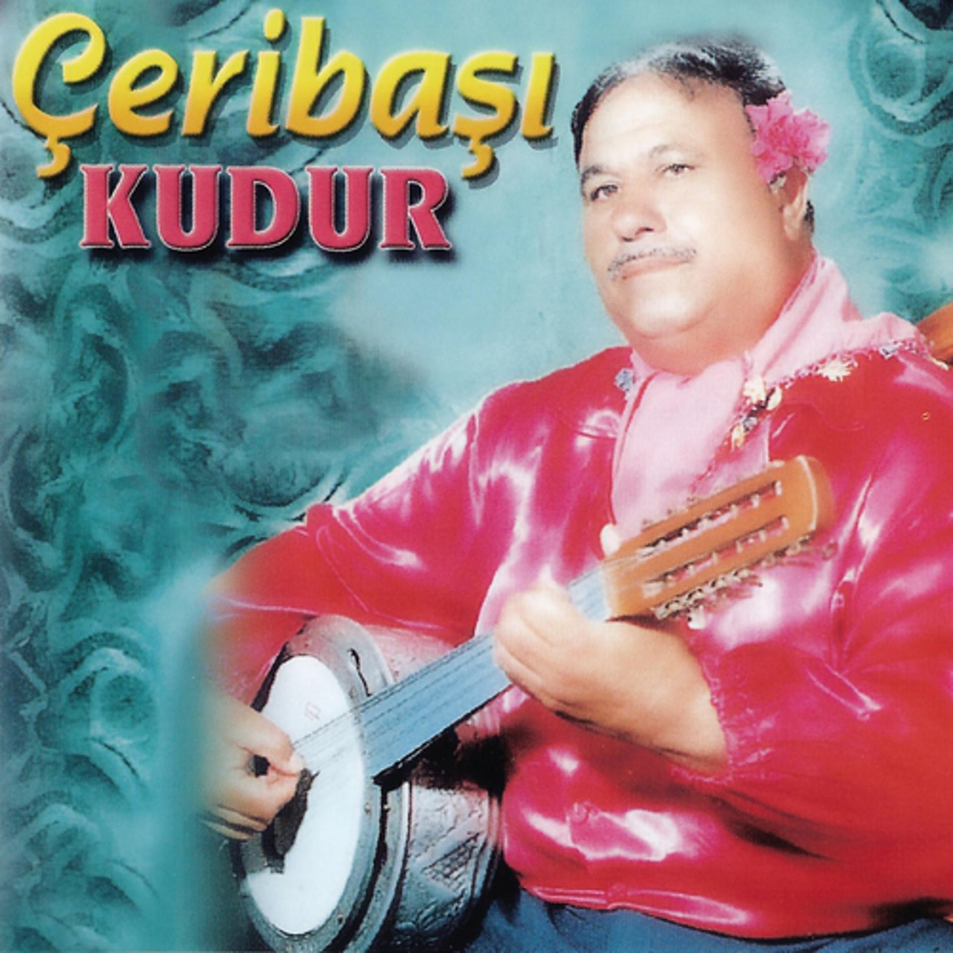 Постер альбома Çeribaşı / Kudur