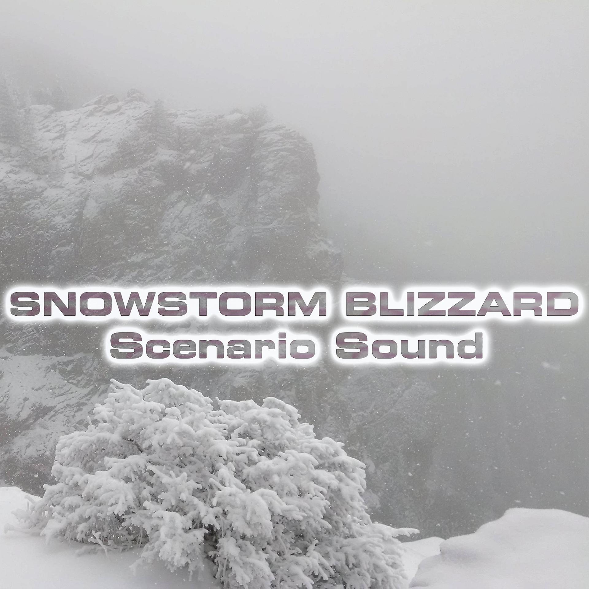 Постер альбома Snowstorm Blizzard Scenario Sound