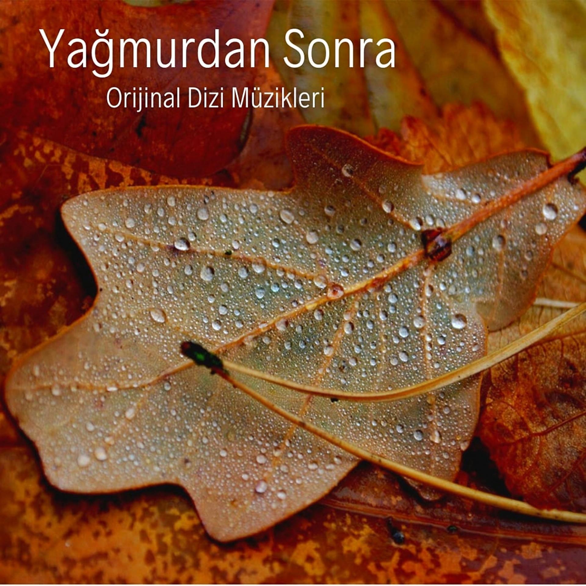 Постер альбома Yağmurdan Sonra