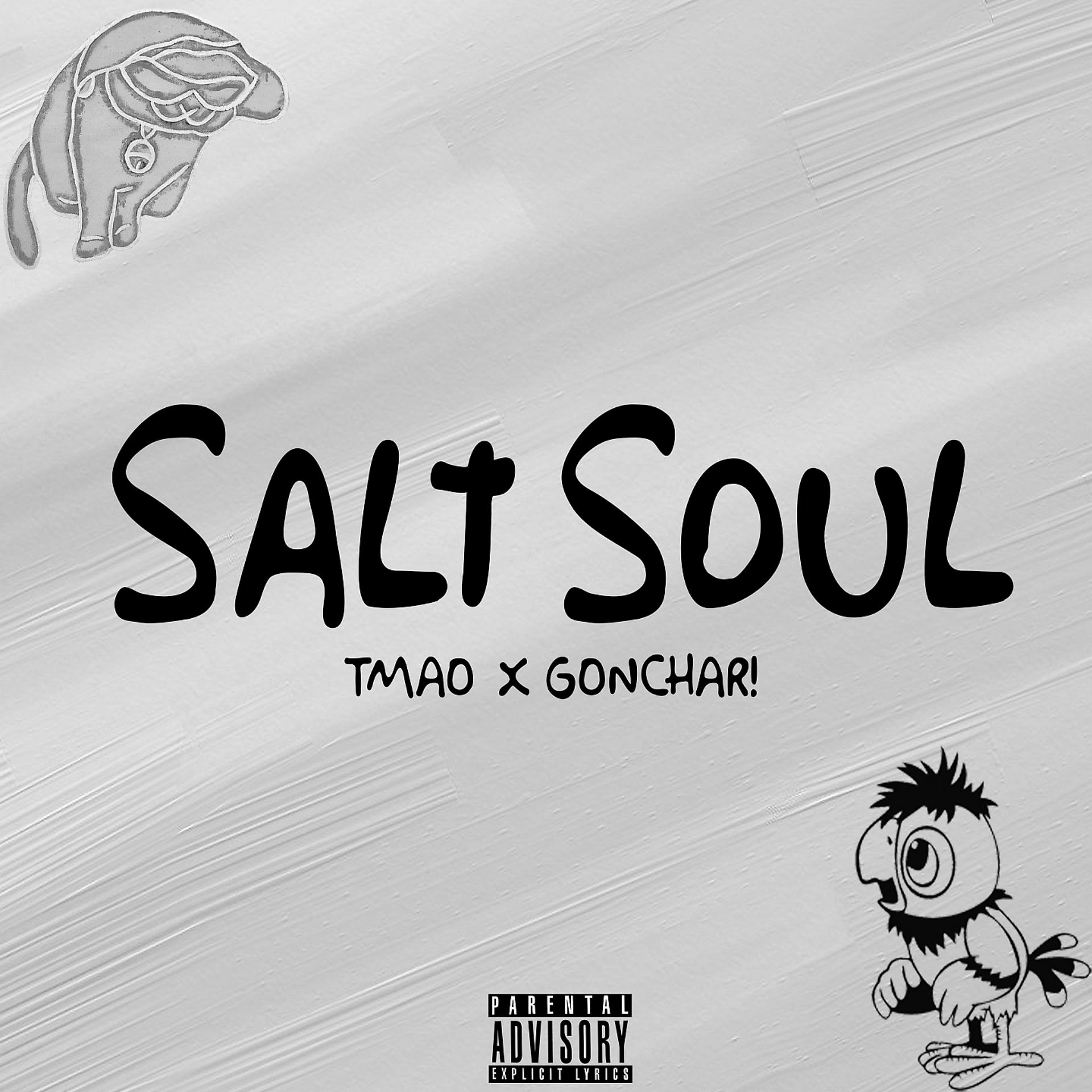 Постер альбома SALT SOUL