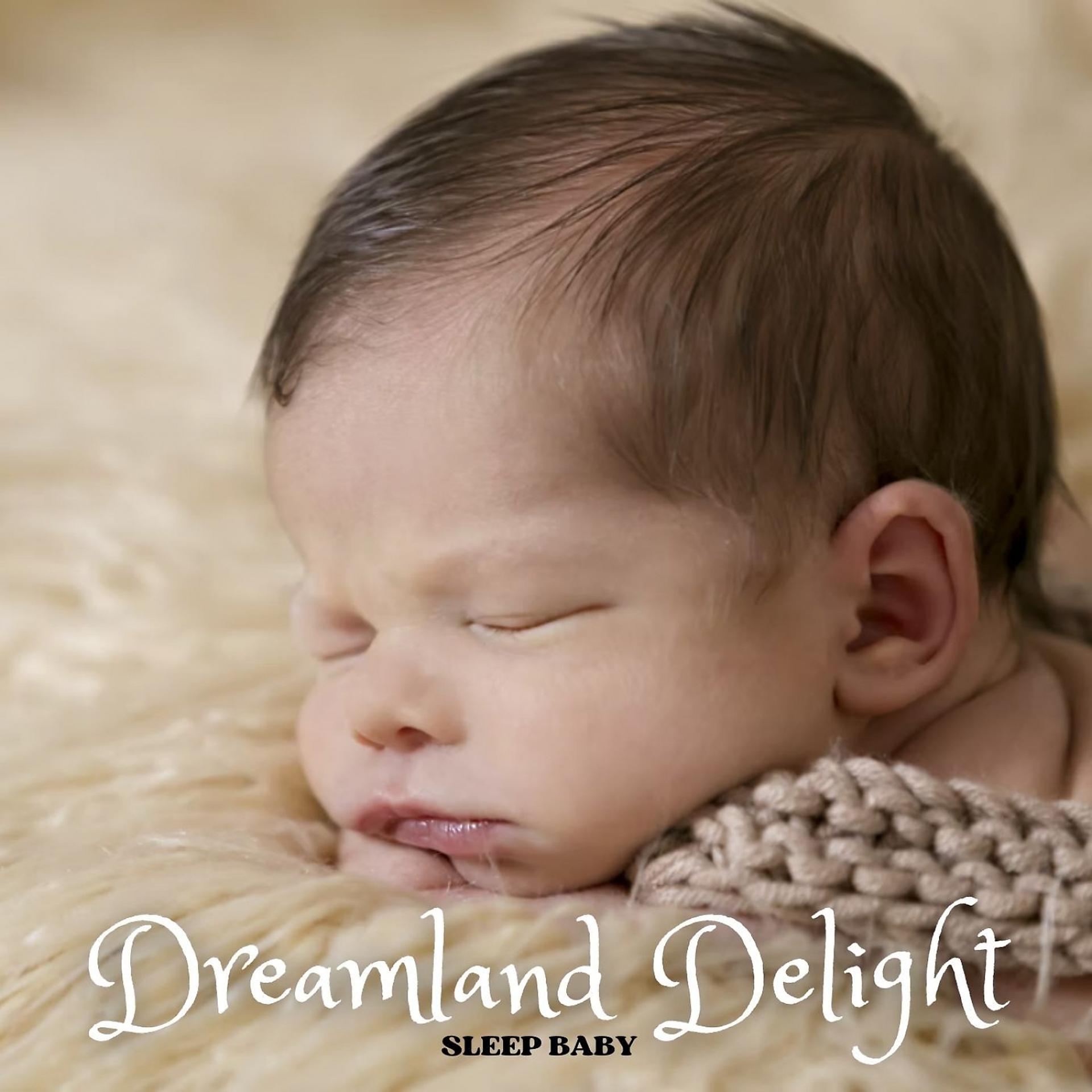 Постер альбома Sleep Baby: Dreamland Delight