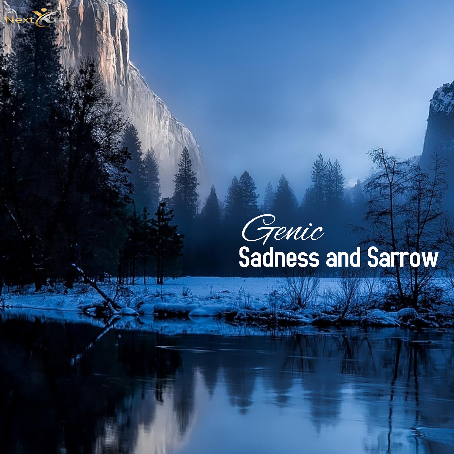 Постер альбома Sadness and Sarrow