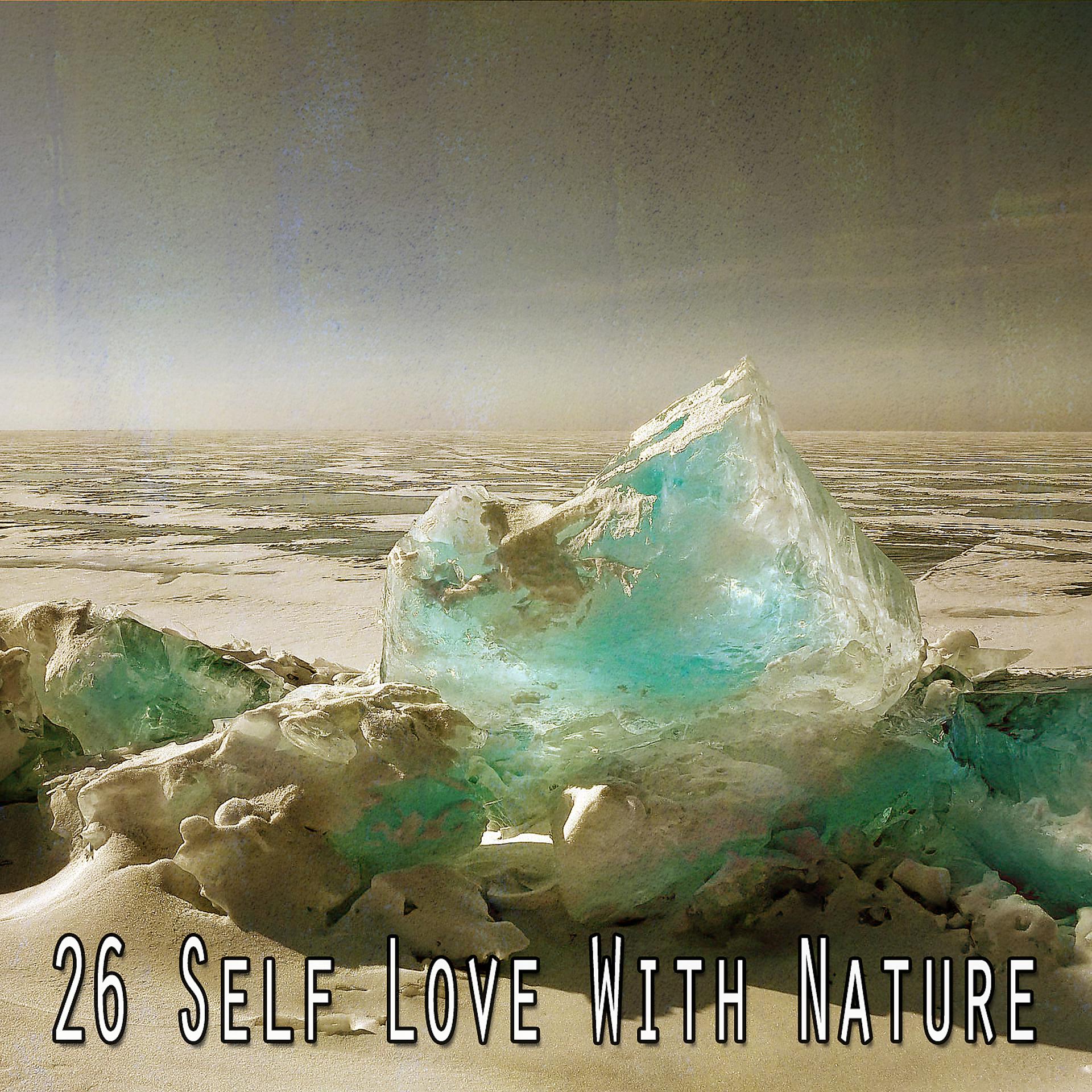 Постер альбома 26 Любовь к себе и природе
