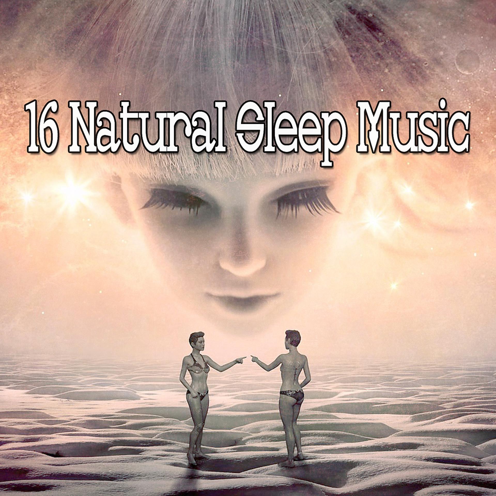 Постер альбома 16 Музыка для естественного сна
