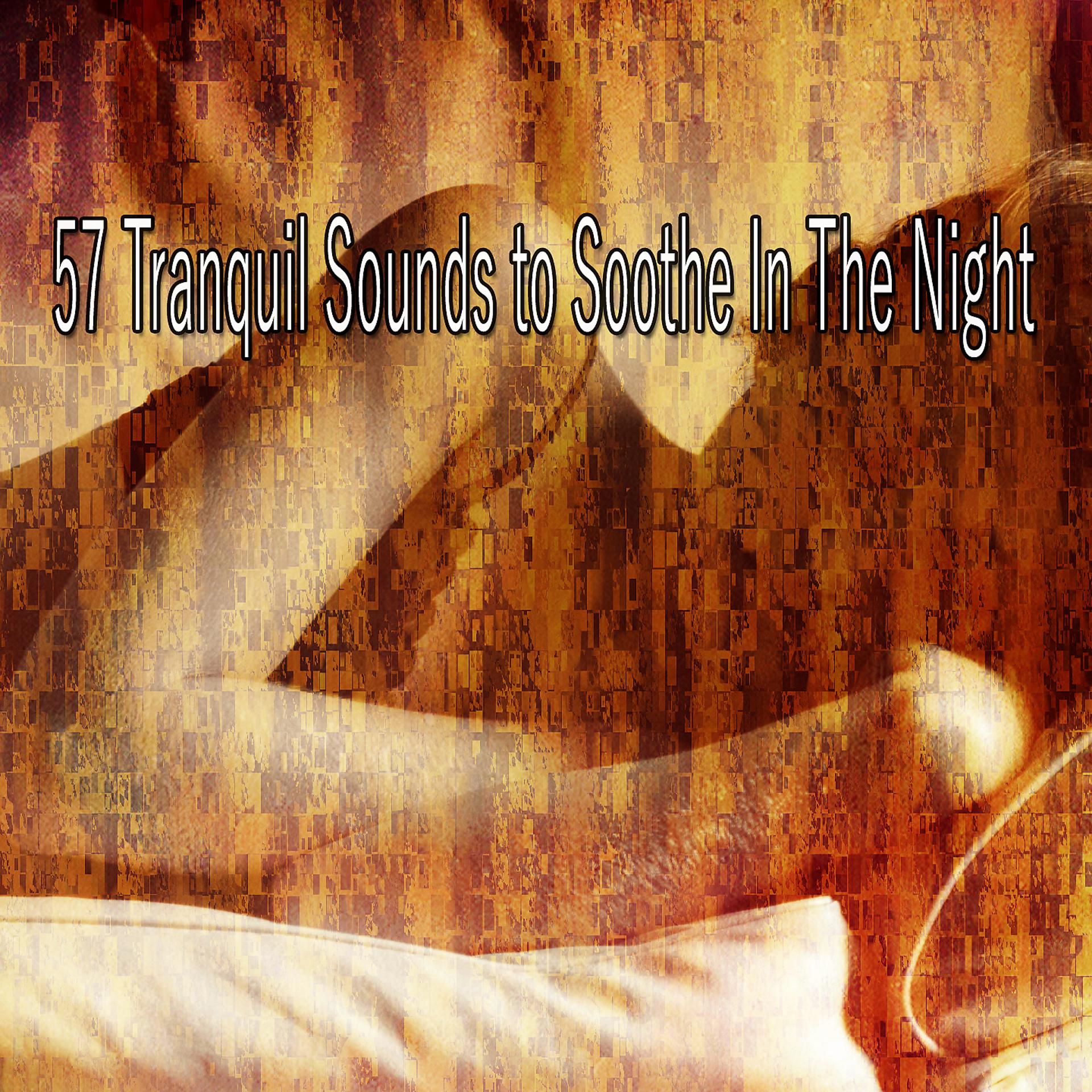 Постер альбома 57 спокойных звуков, успокаивающих в ночи