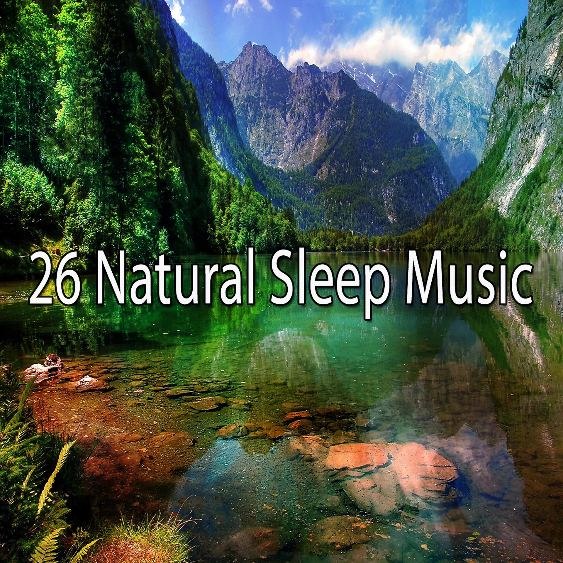Постер альбома 26 Музыка для естественного сна