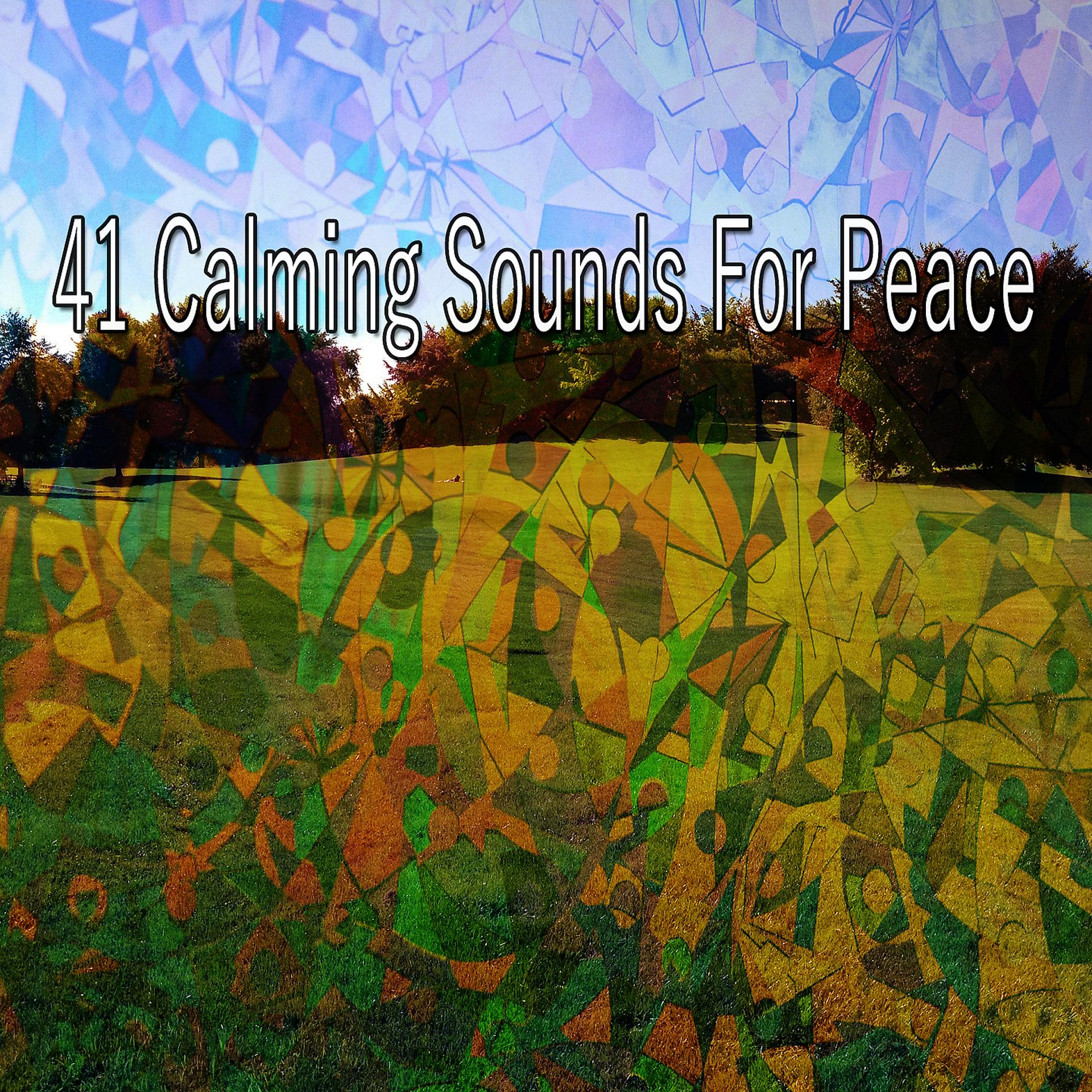 Постер альбома 41 Успокаивающий звук для мира