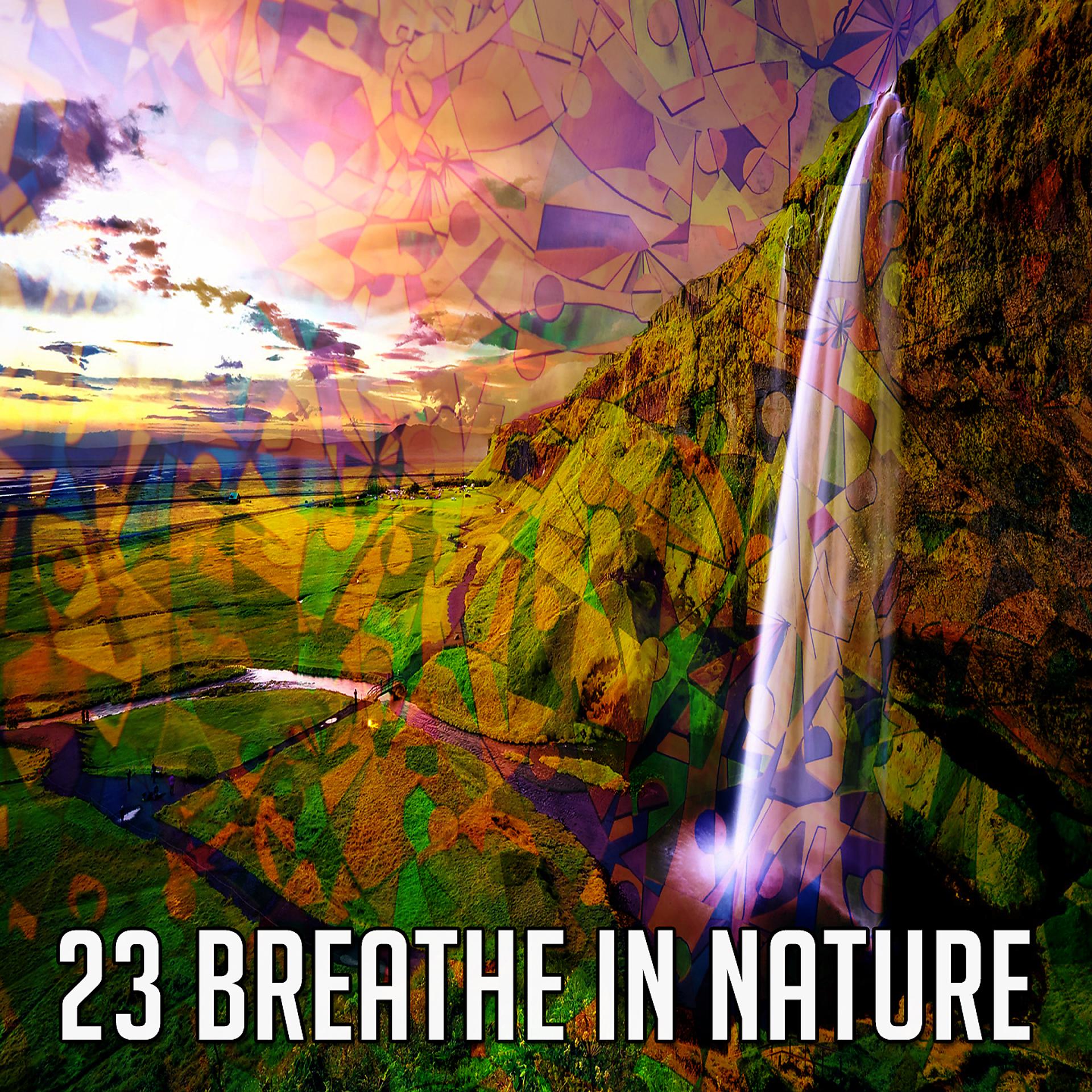 Постер альбома 23 Вдохните природу