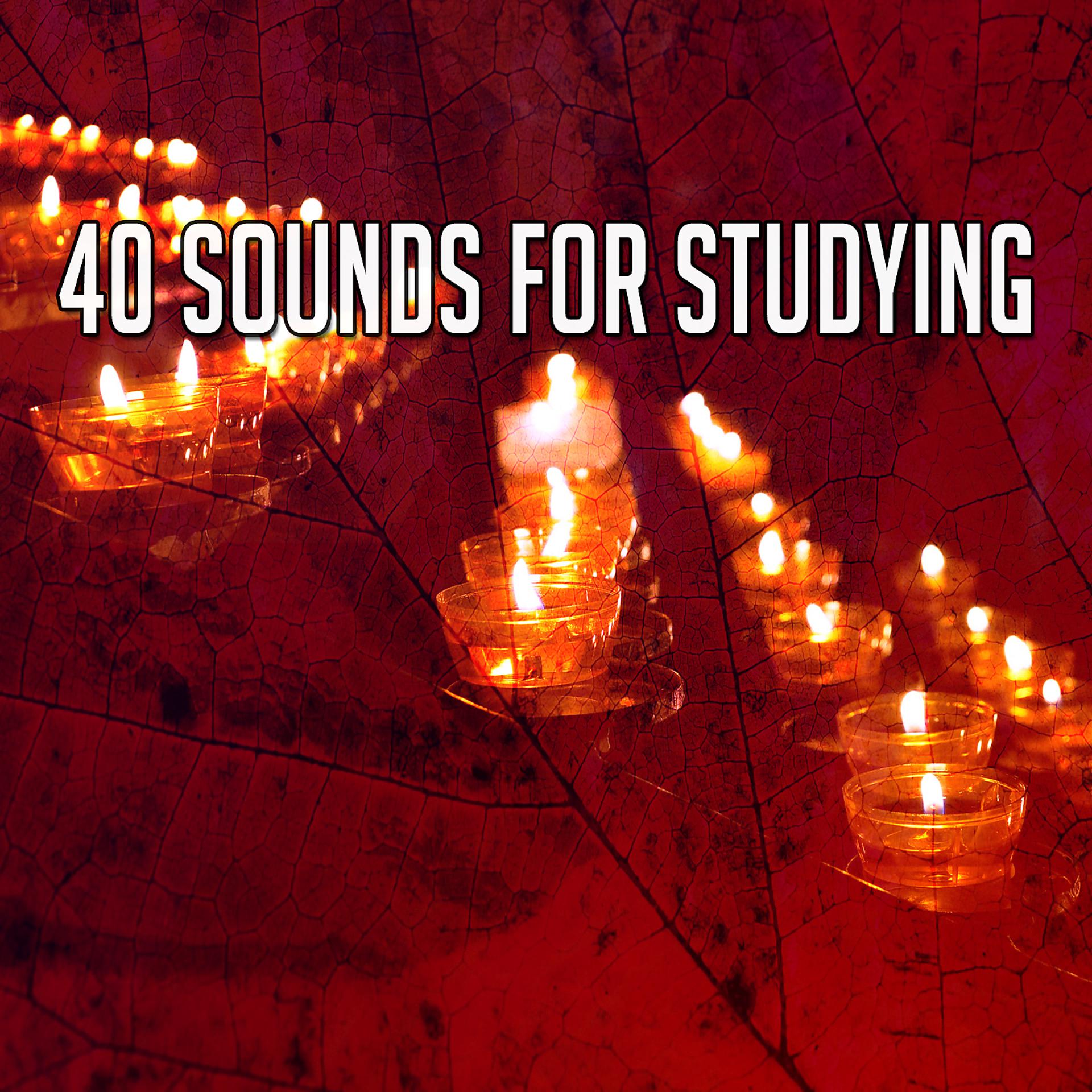 Постер альбома 40 звуков для изучения