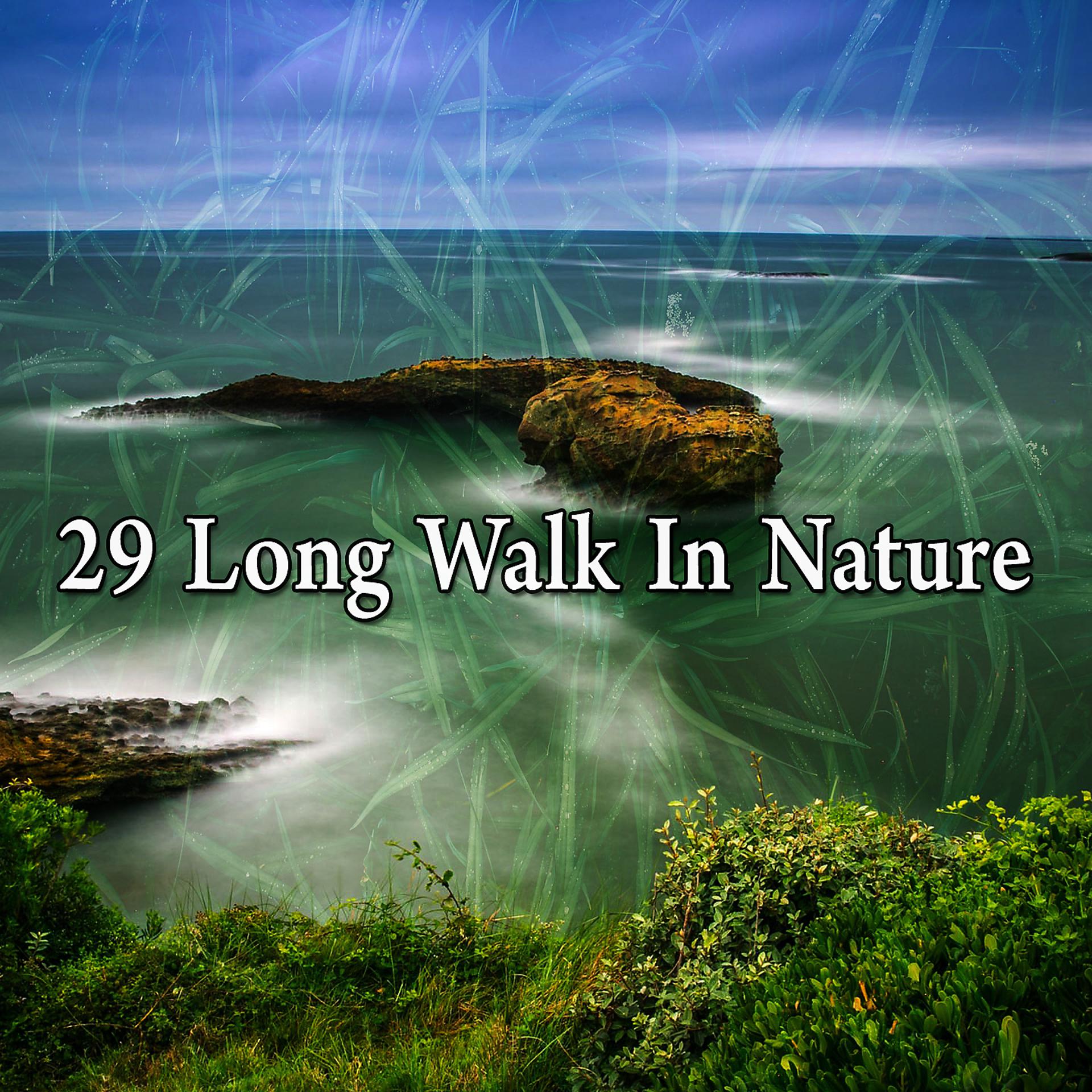 Постер альбома 29 Долгая прогулка на природе