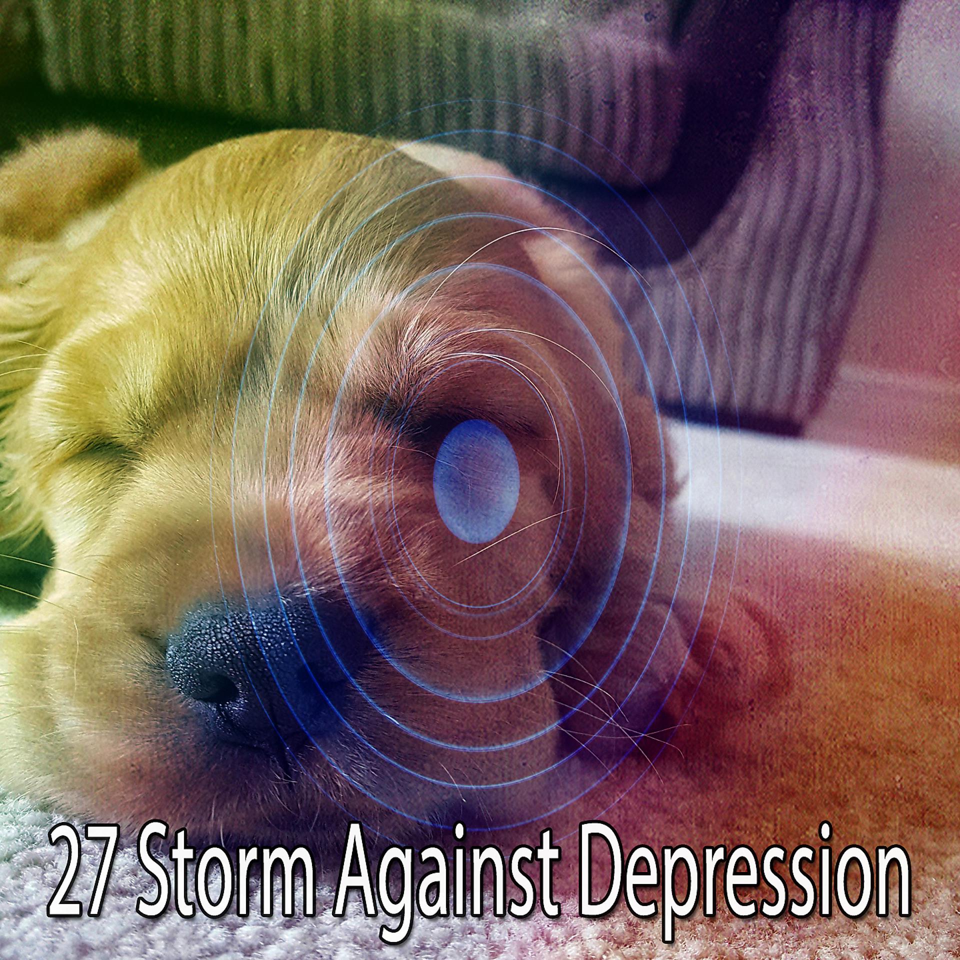 Постер альбома 27 Буря против депрессии