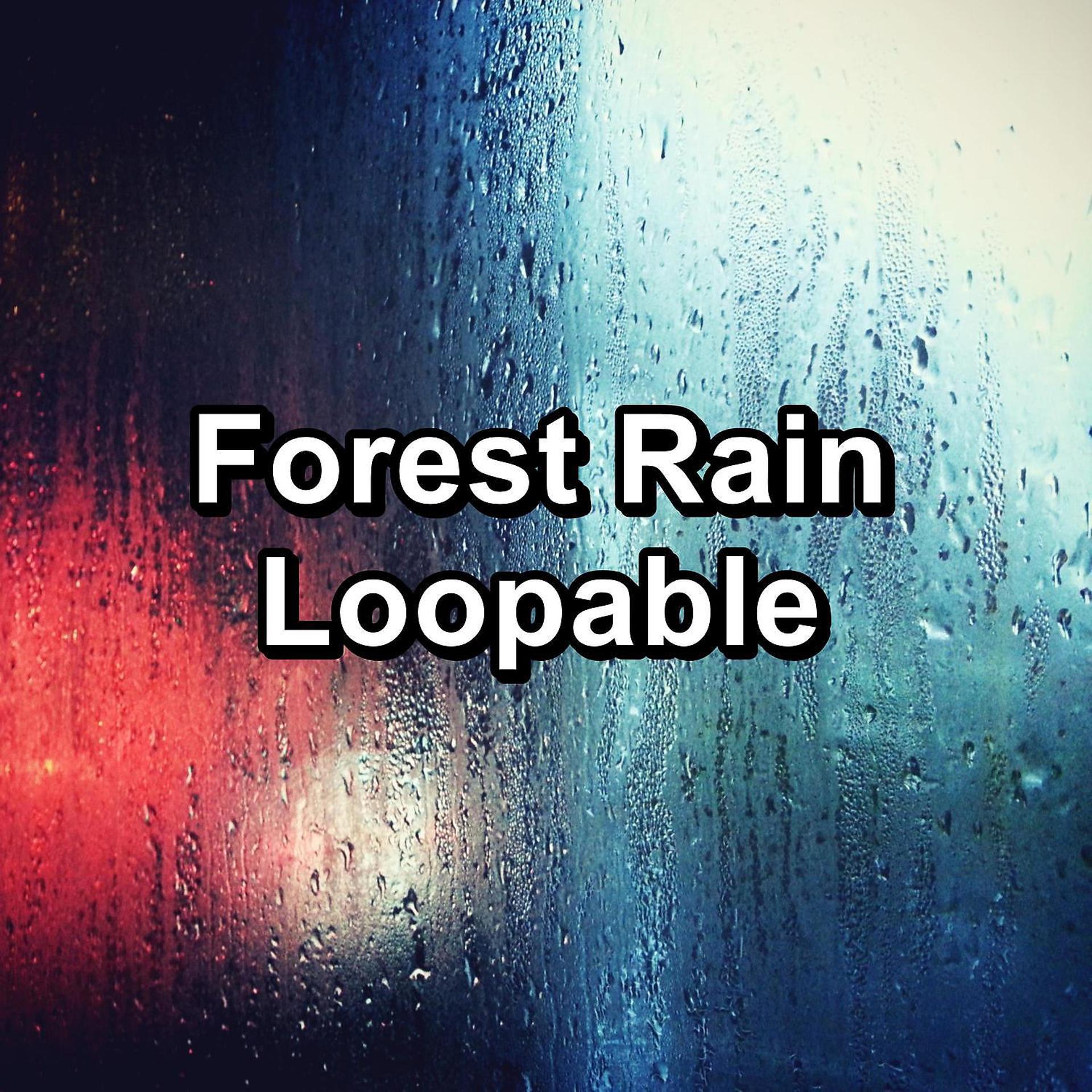 Постер альбома Forest Rain Loopable