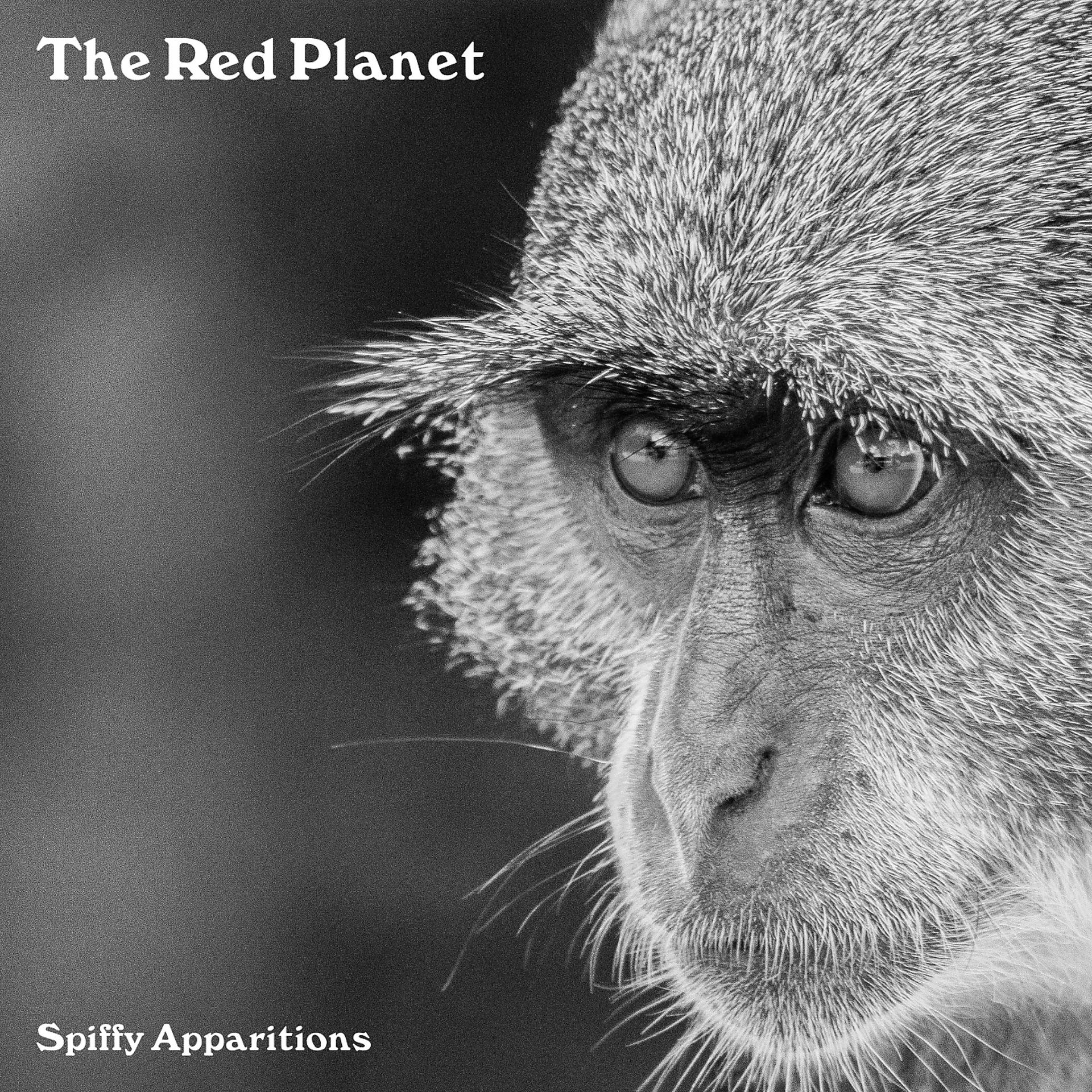 Постер альбома The Red Planet