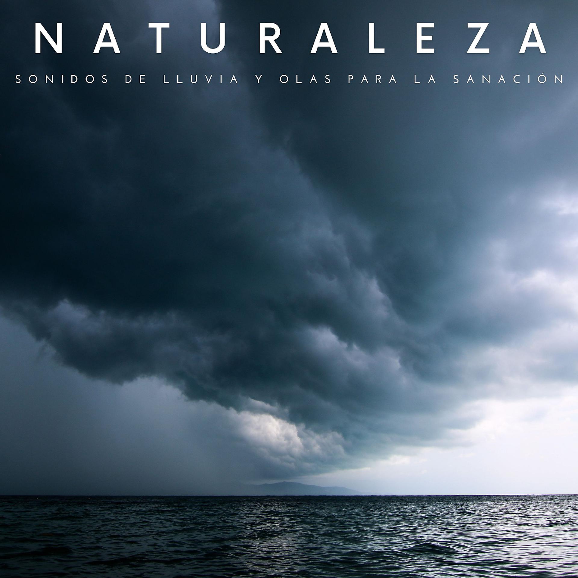 Постер альбома Naturaleza: Sonidos De Lluvia Y Olas Para La Sanación