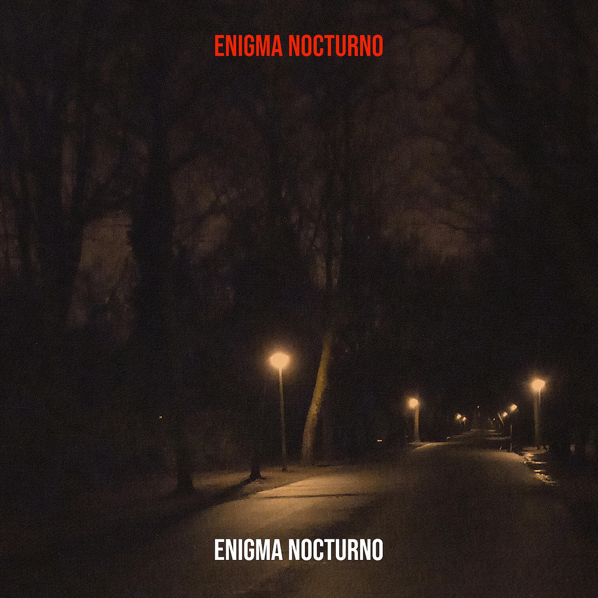 Постер альбома Enigma Nocturno