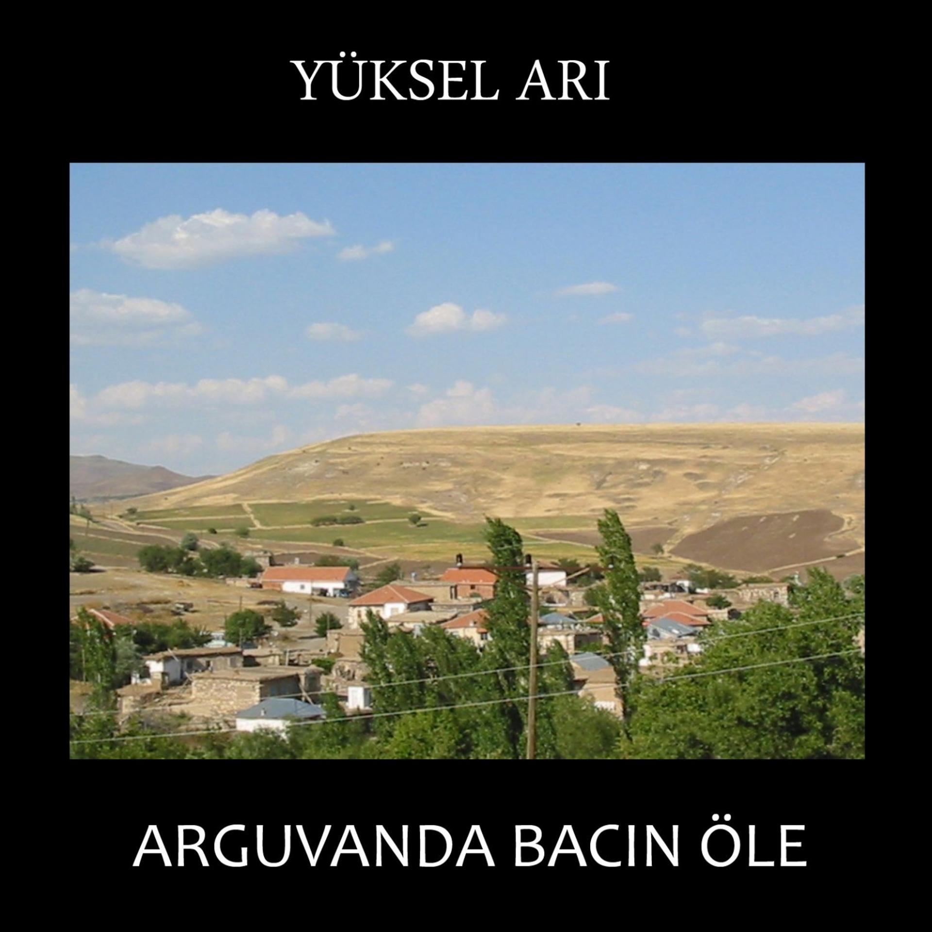 Постер альбома Arguvanda Bacın Öle