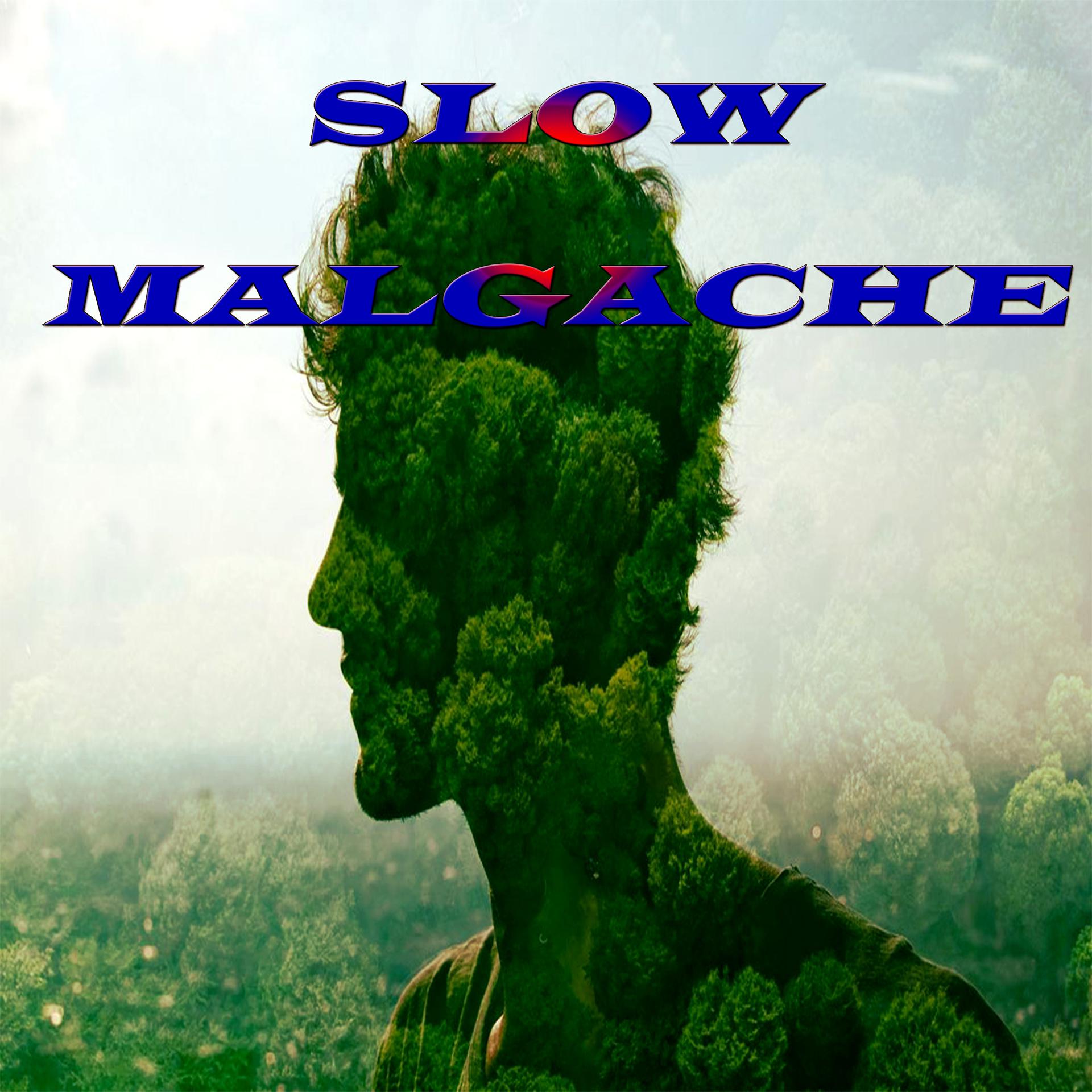 Постер альбома Slow Malgache