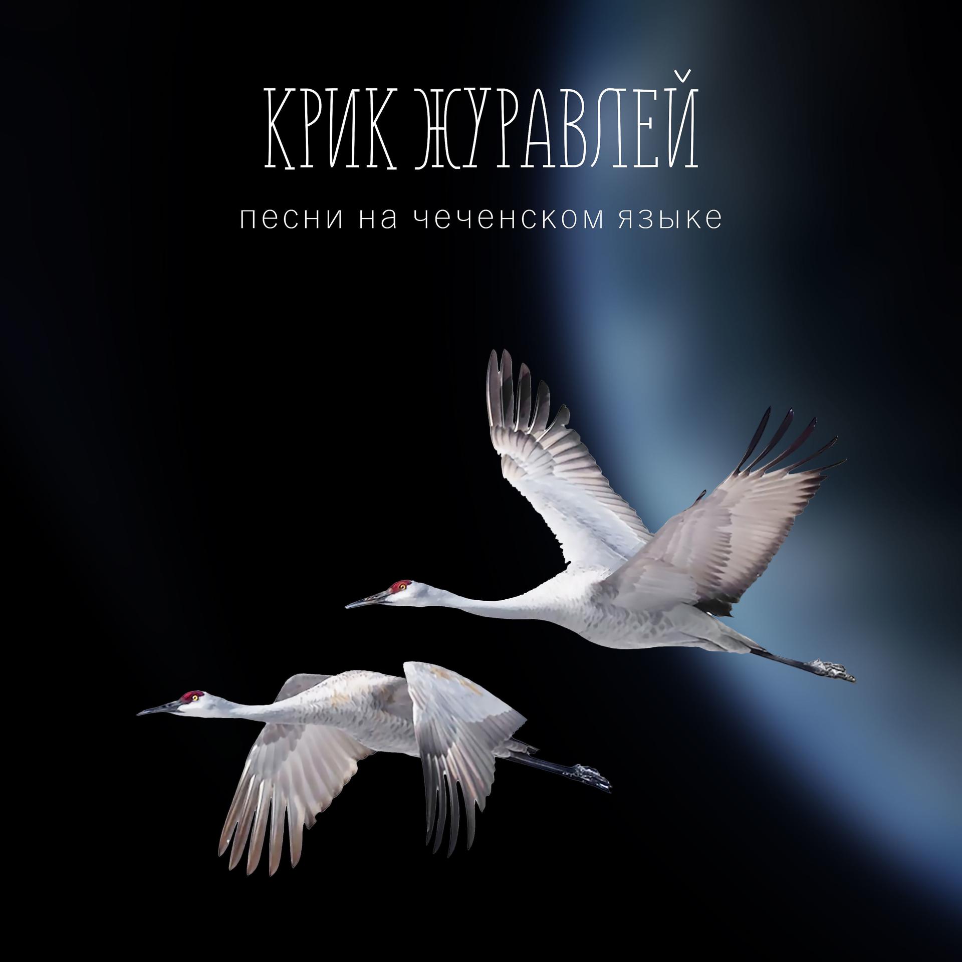 Постер альбома Крик журавлей. Песни на чеченском языке