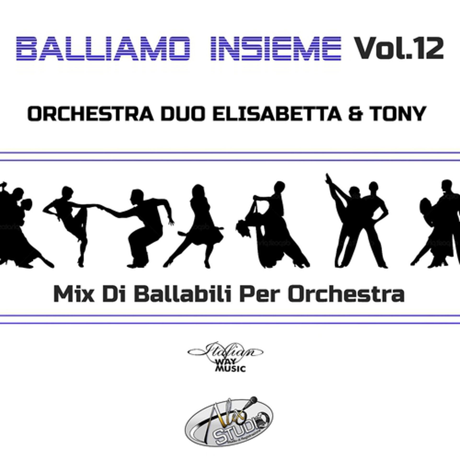 Постер альбома Balliamo insieme, vol. 12 (Mix di ballabili per orchestra)