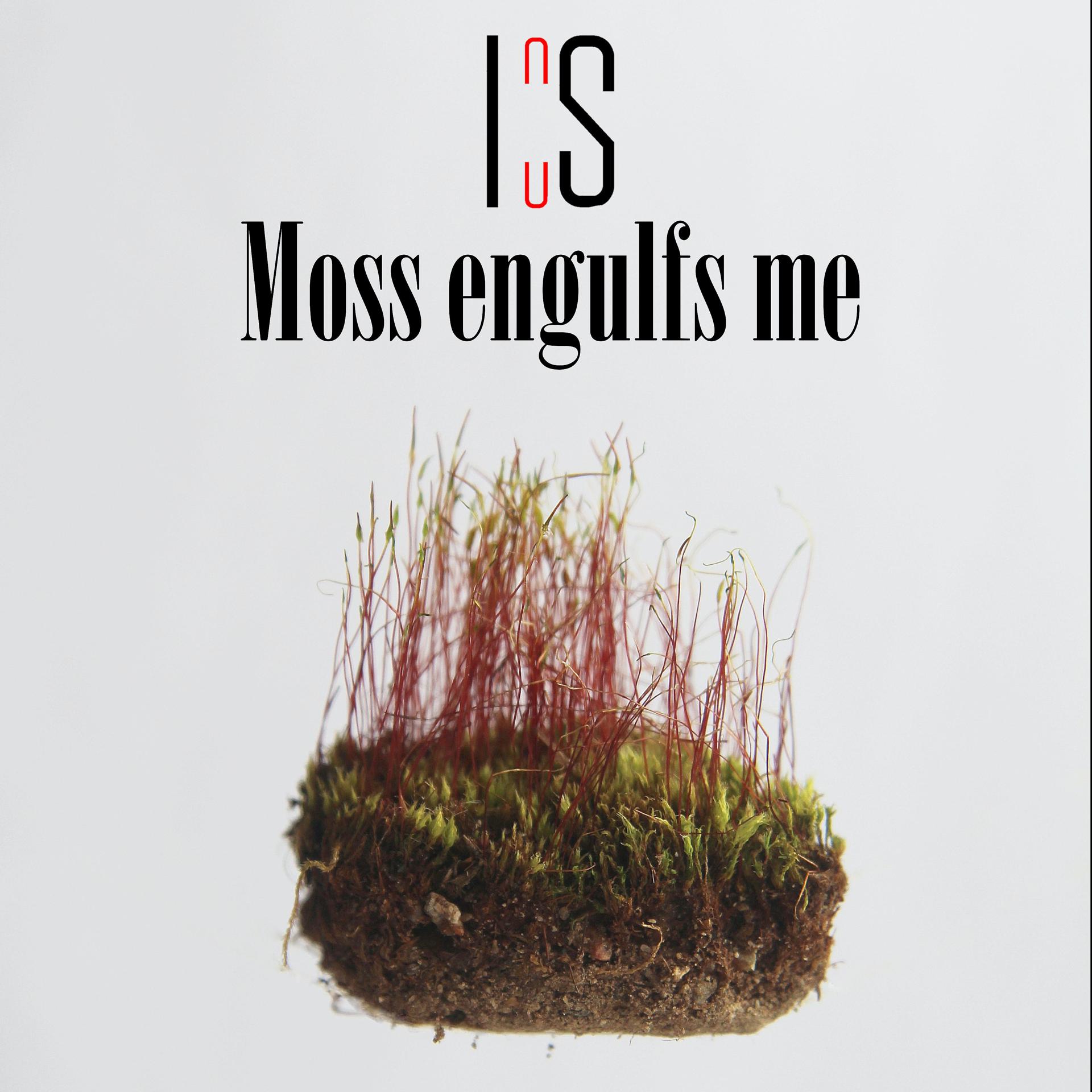 Постер альбома Moss Engulfs Me