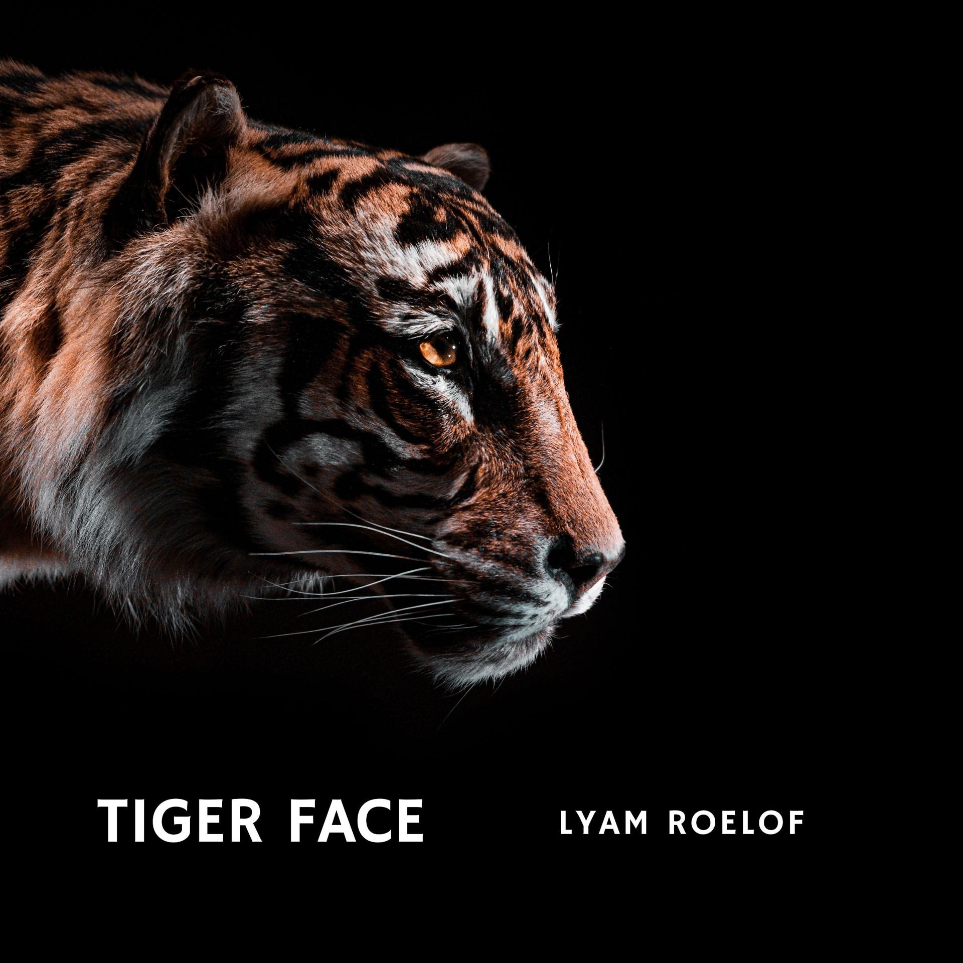 Постер альбома Tiger Face