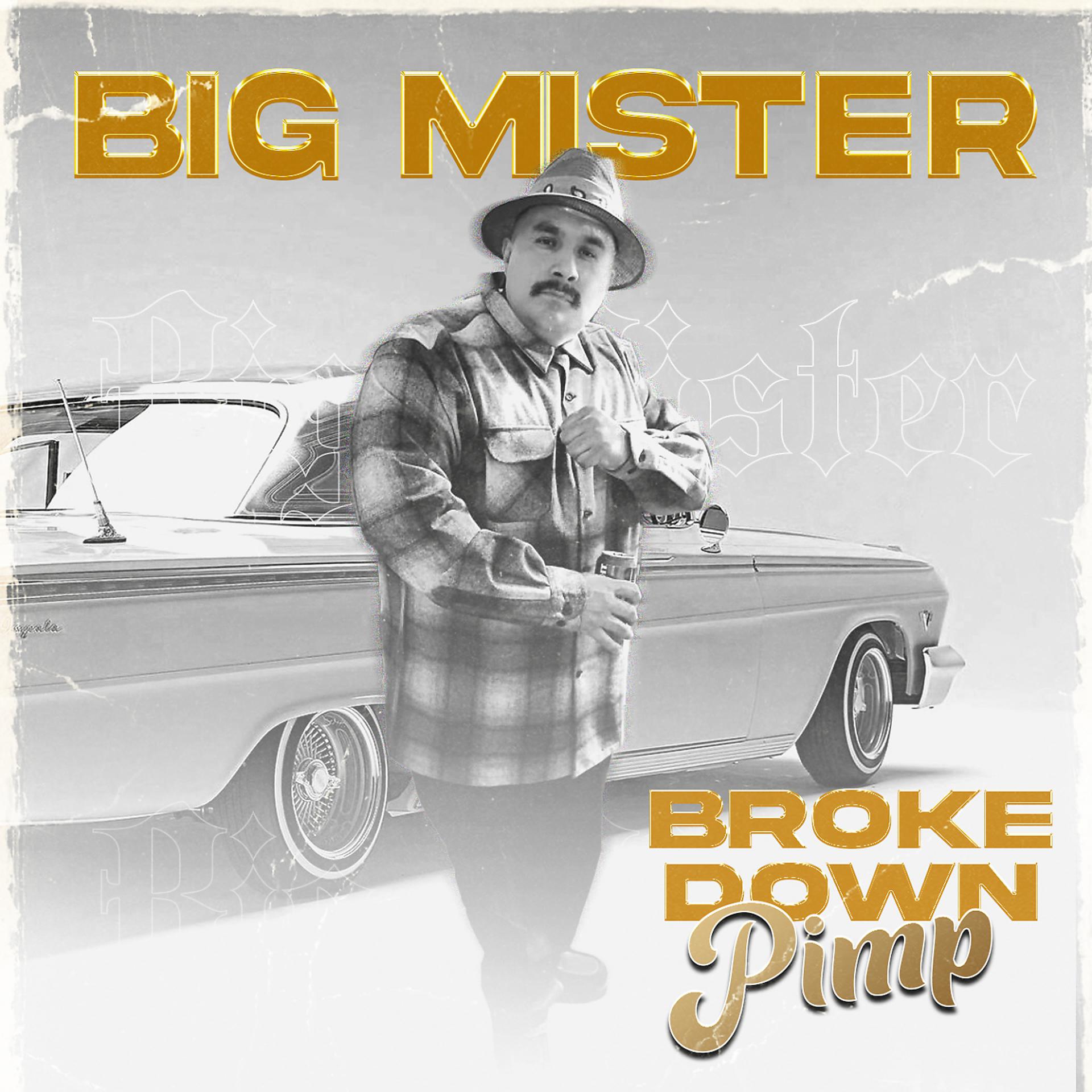 Постер альбома Broke Down Pimp