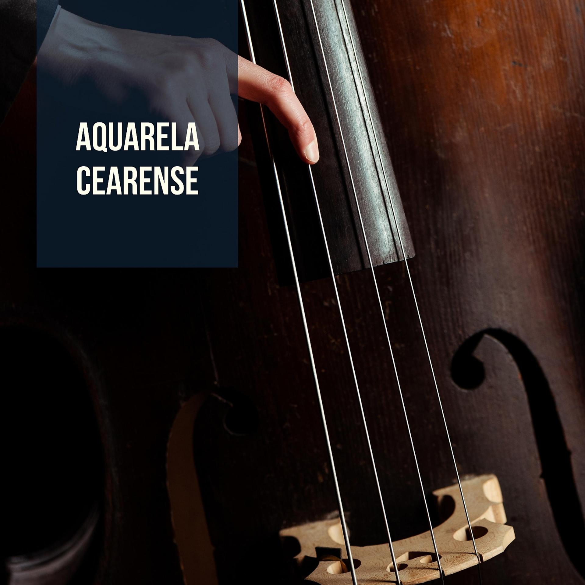 Постер альбома Aquarela Cearense
