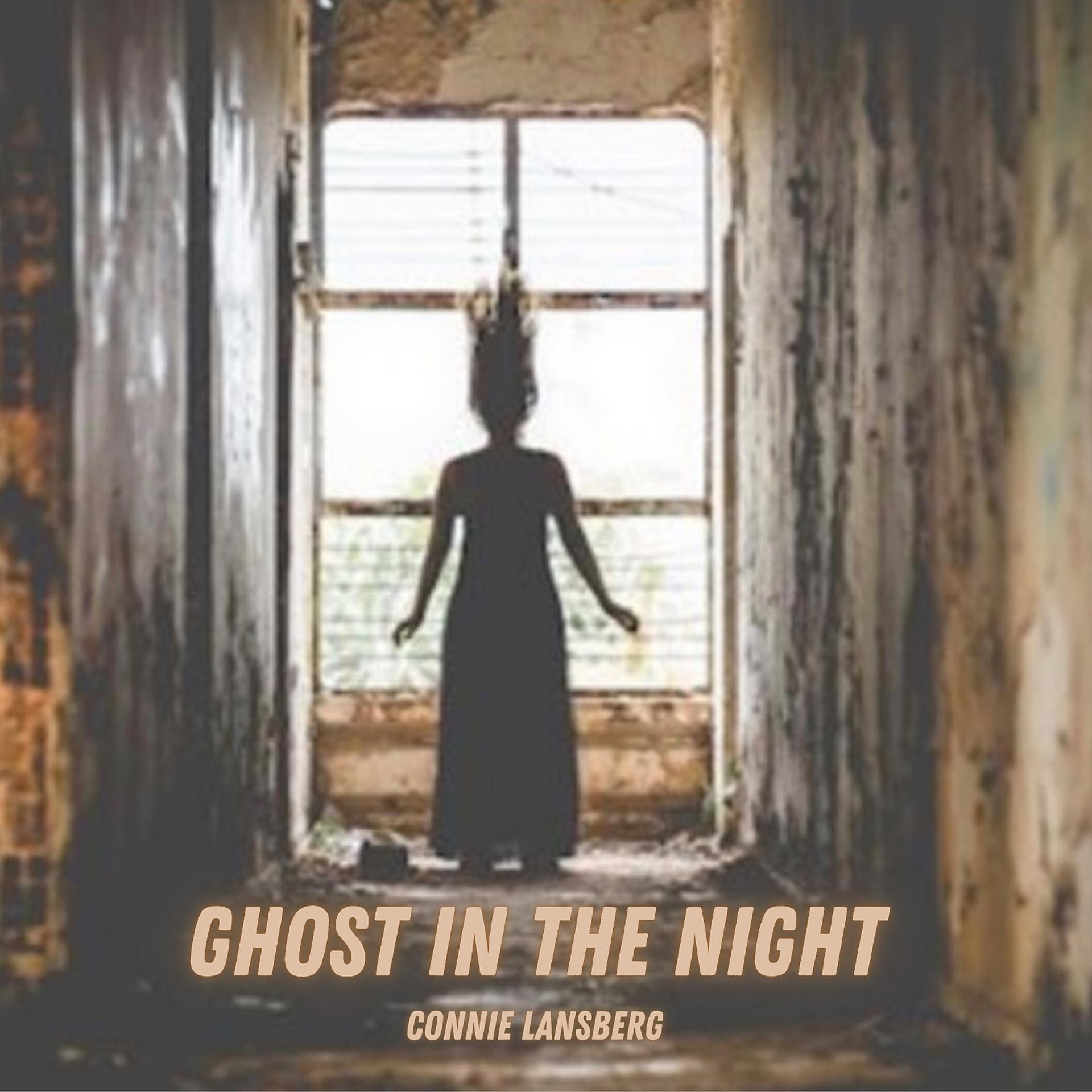 Постер альбома Ghost in the Night (feat. Mark Fitzgibbon, Ben Hanlon & Peter Hodges)