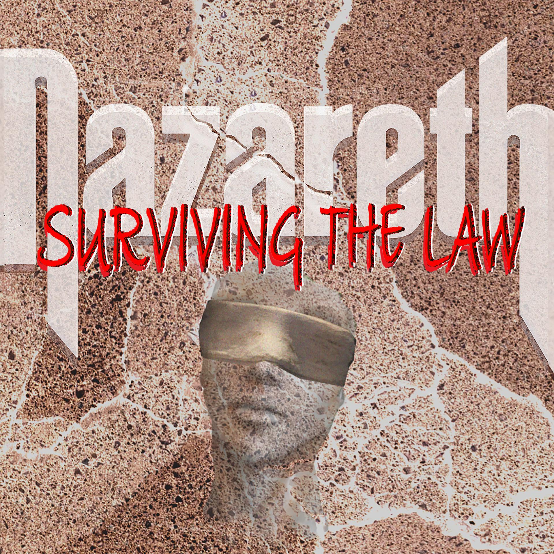 Постер альбома Surviving the Law