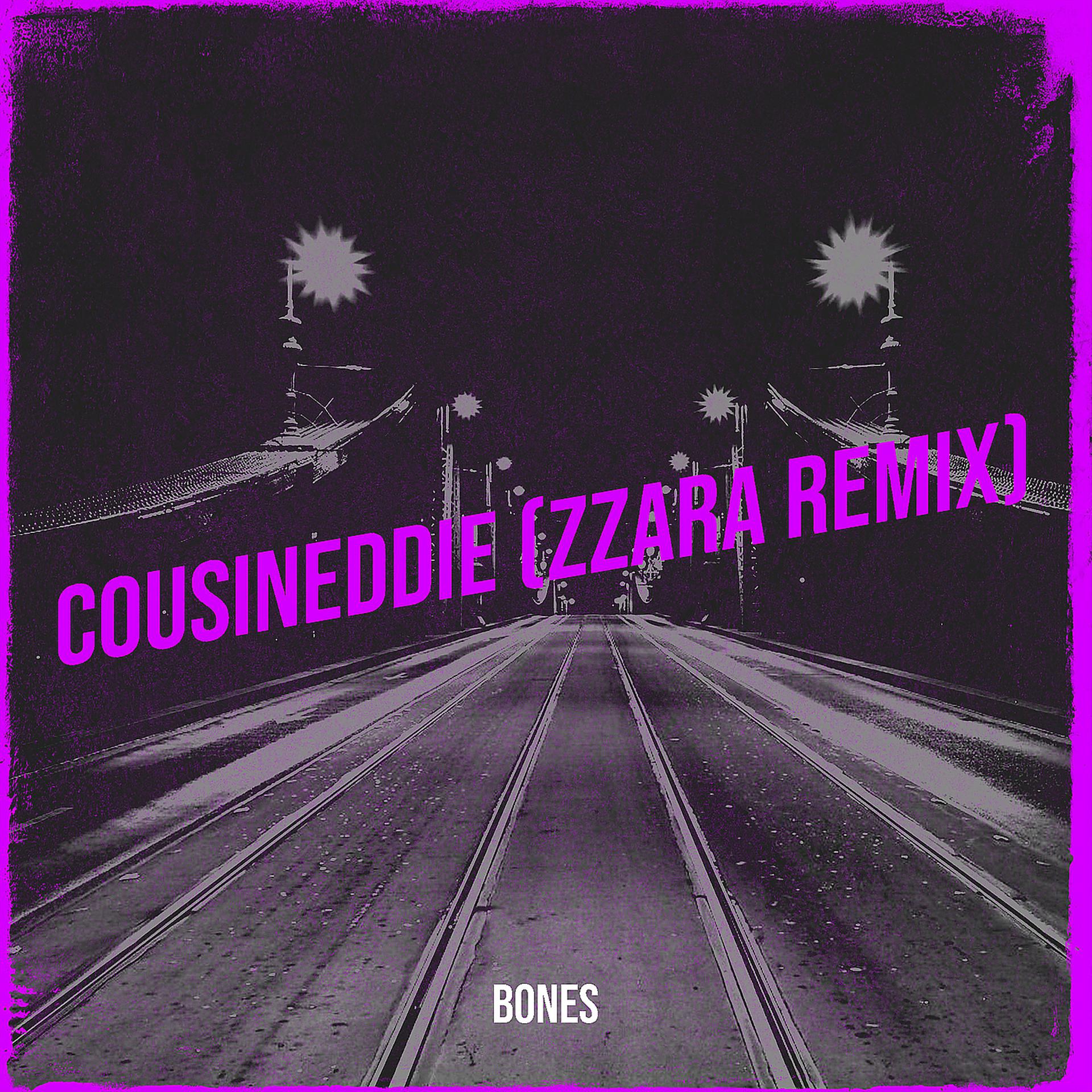 Постер альбома CousinEddie (Zzara Remix)