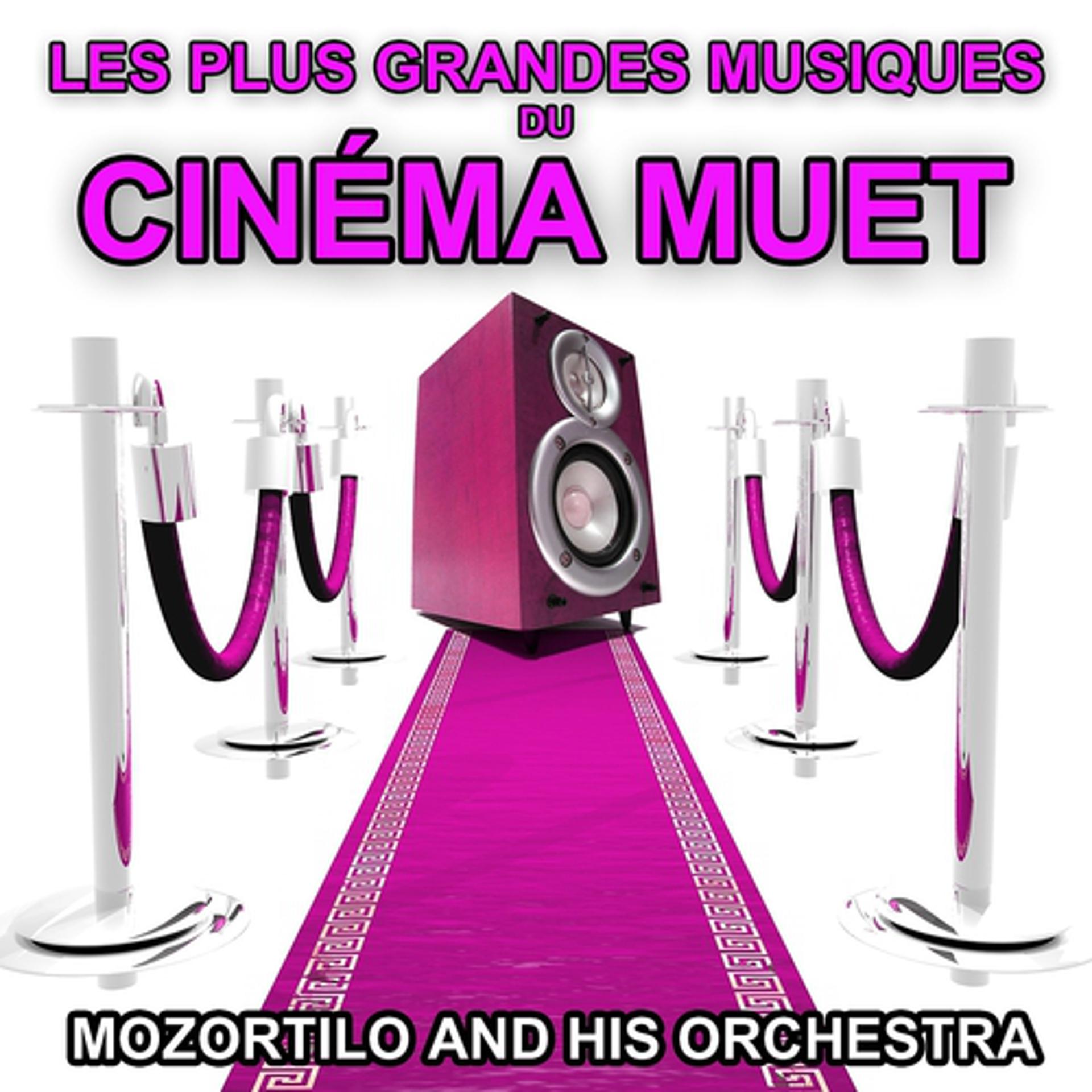 Постер альбома Les plus grandes musiques du cinéma muet