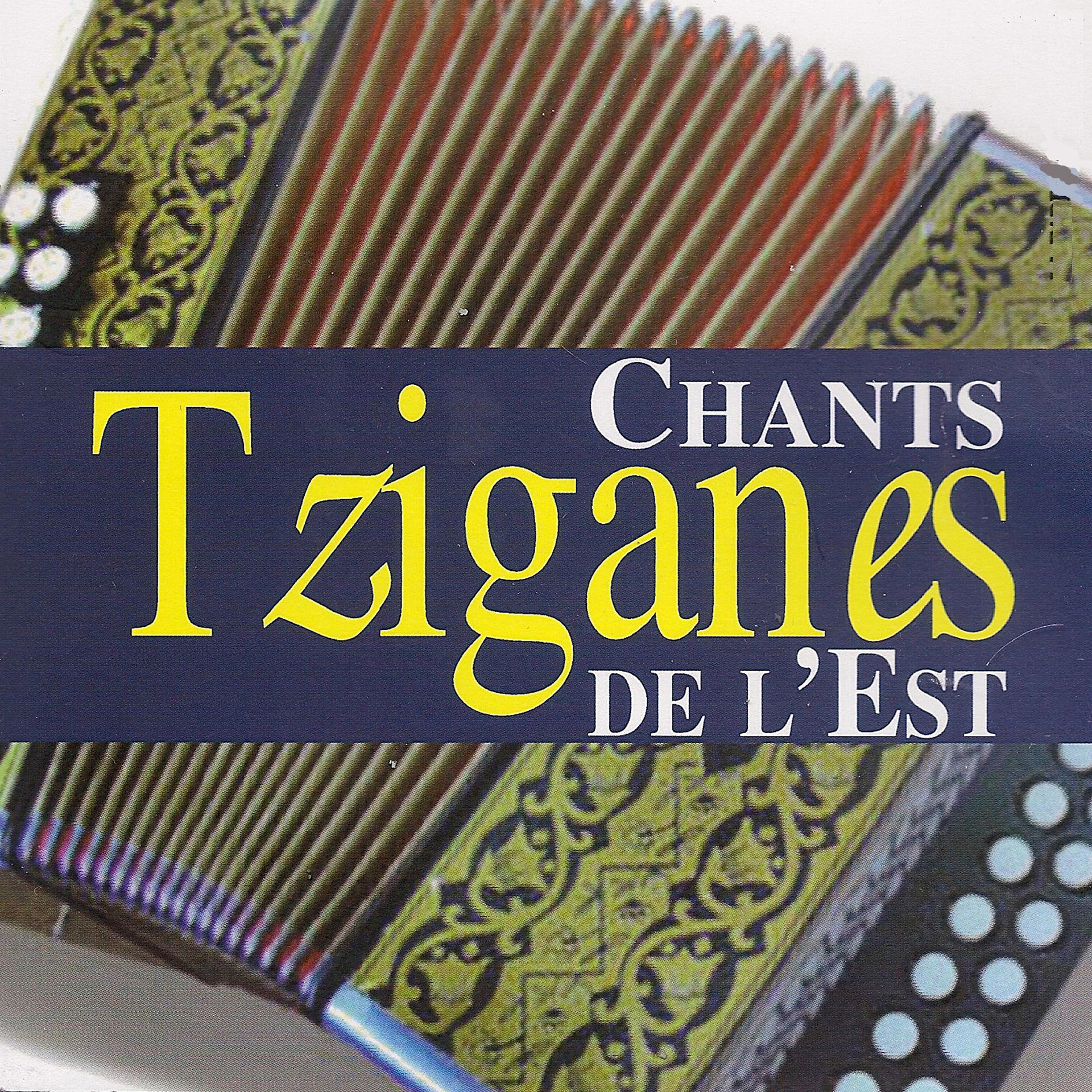 Постер альбома Chants tziganes de l'Est