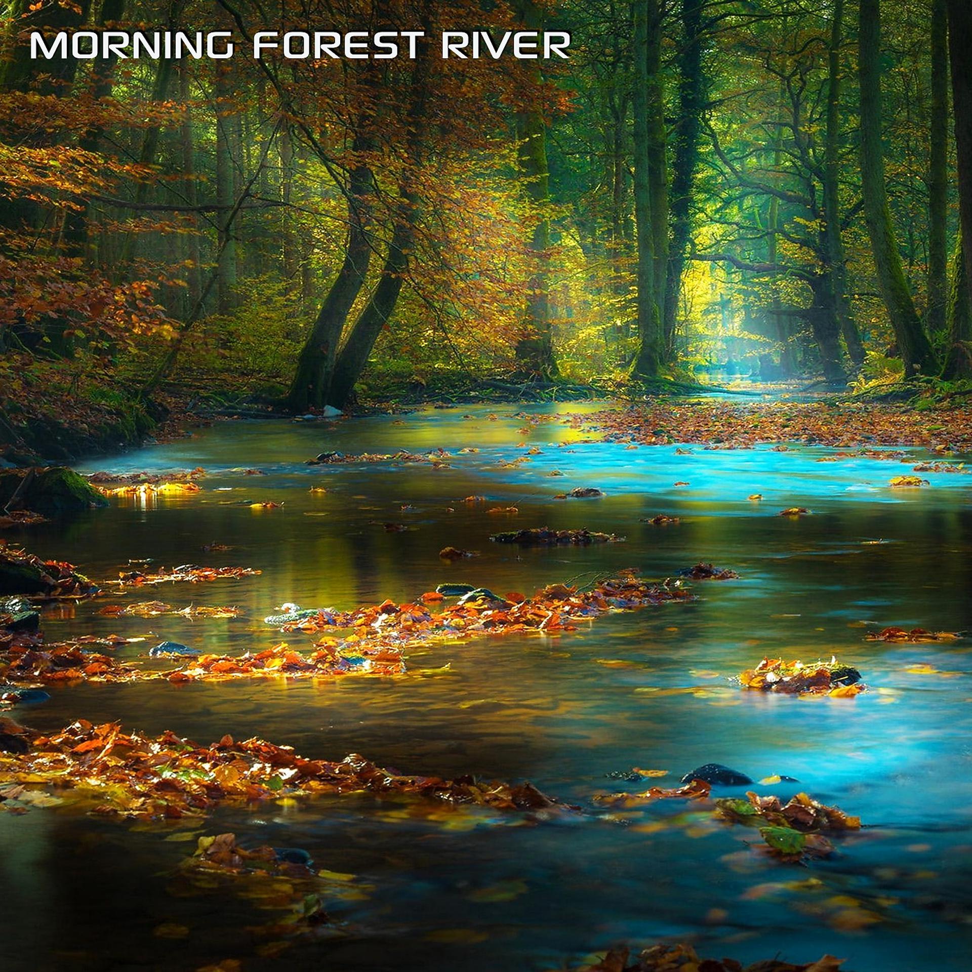 Постер альбома Morning Forest River (feat. Discovery Forest Soundscapes, White Noise Soundscapes, Discovery Nature Sound, Sounds Nature, Discovery Soundscapes & Water White Noise)