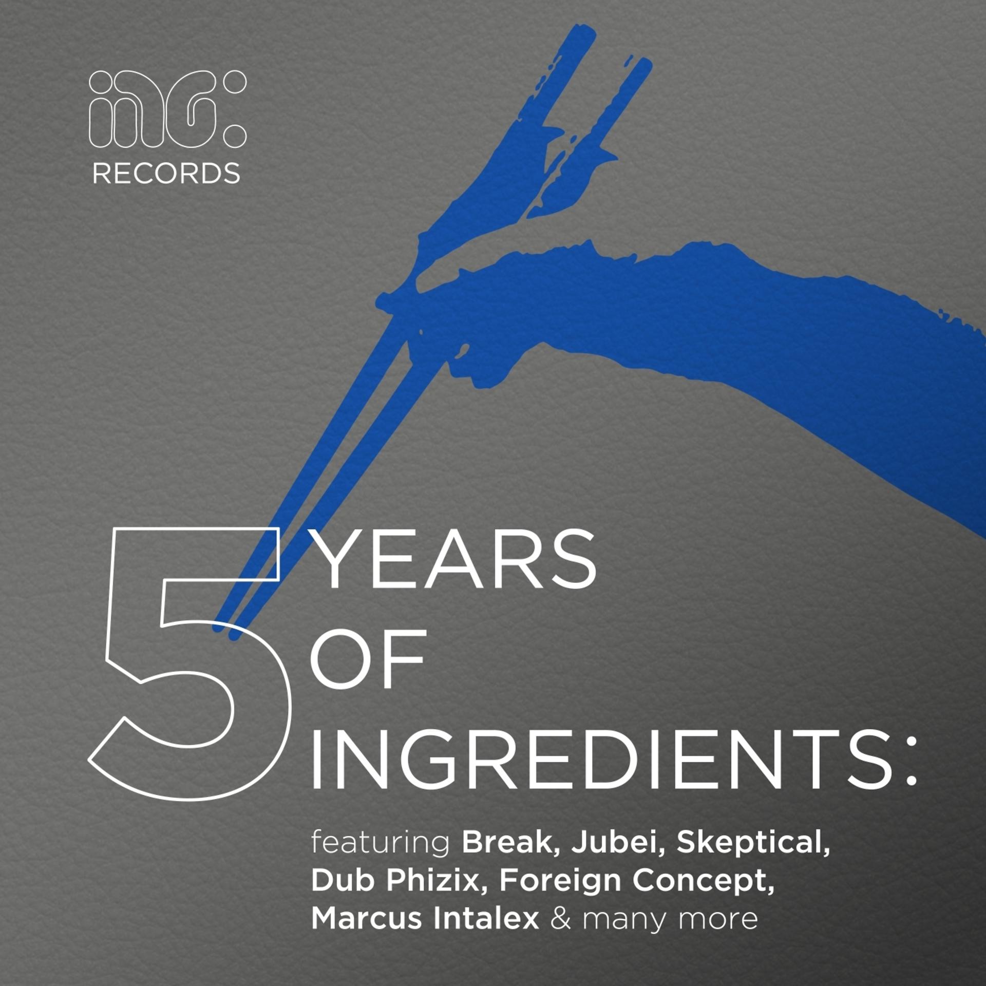 Постер альбома 5 Years of Ingredients