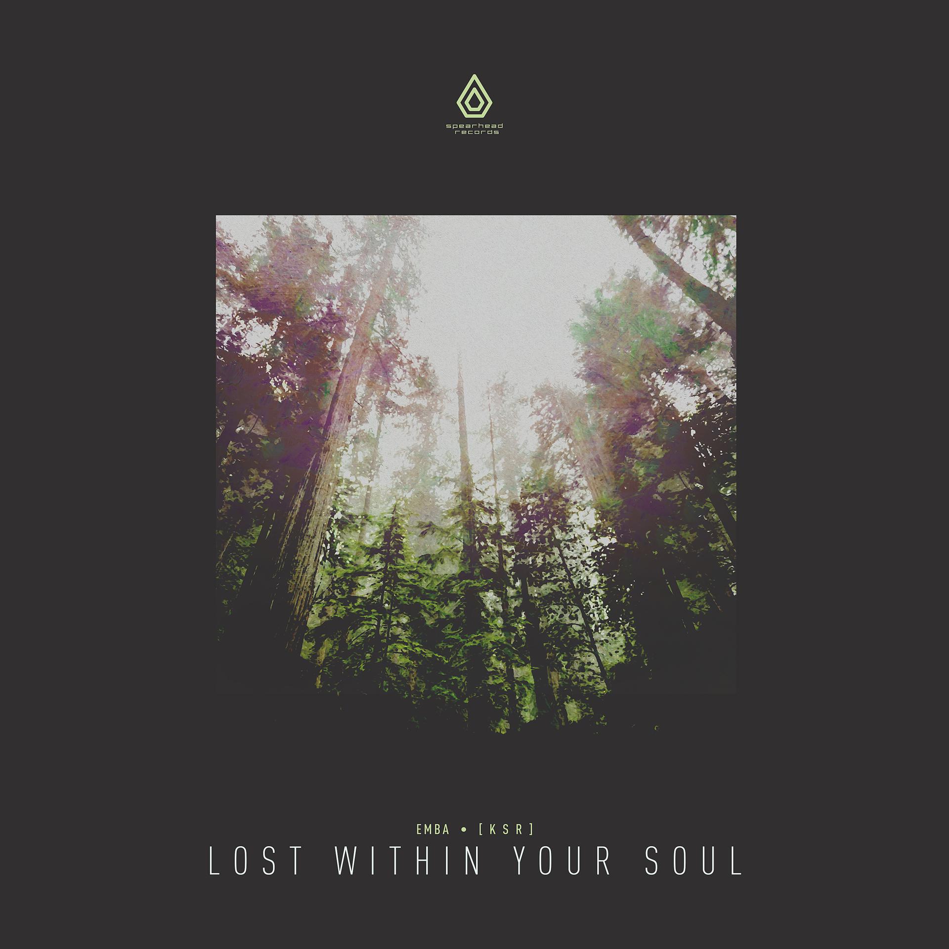 Постер альбома Lost Within Your Soul