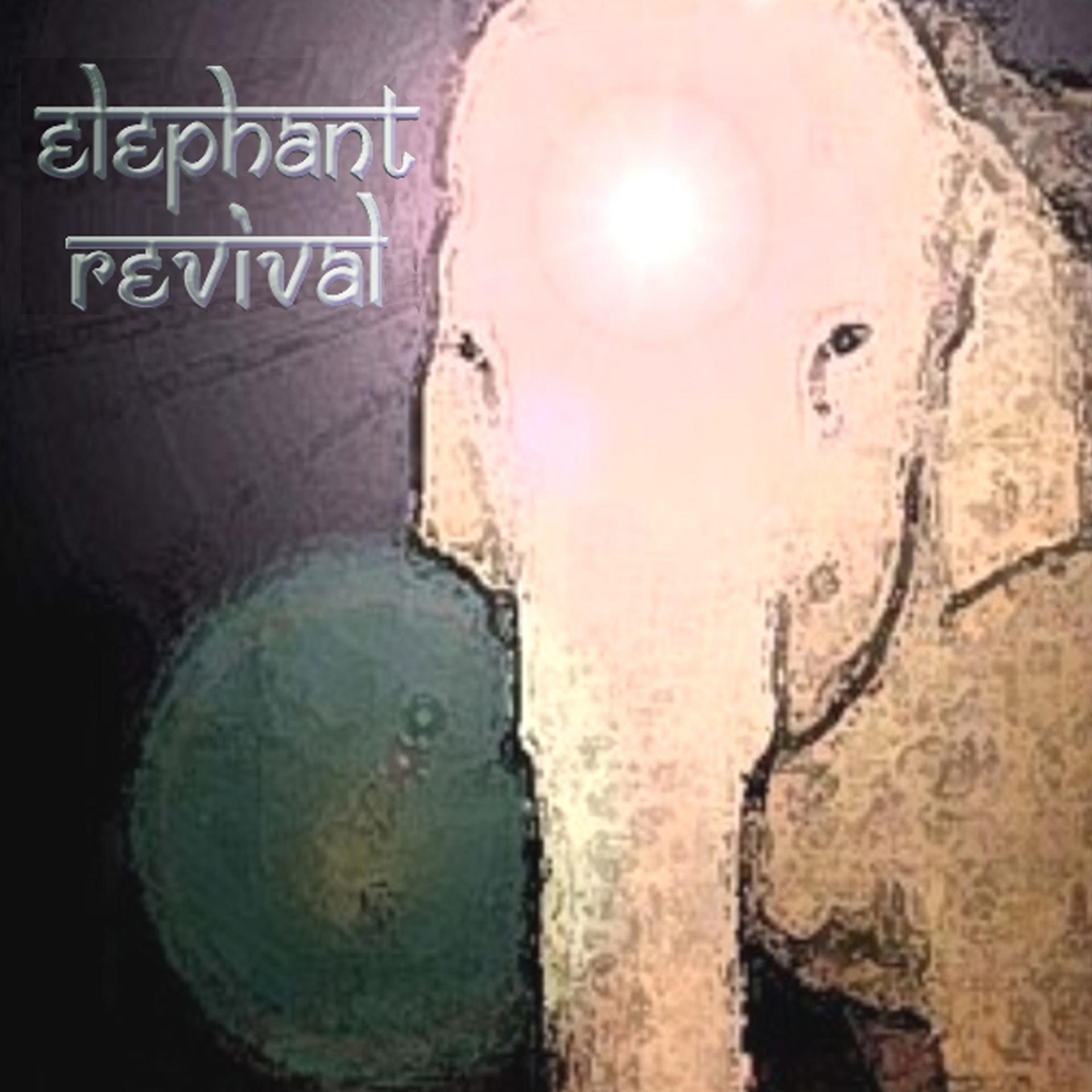 Постер альбома Elephant Revival