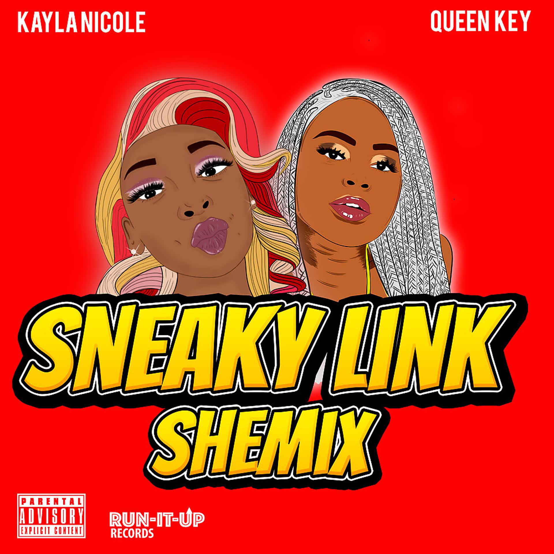 Постер альбома Sneaky Link Shemix