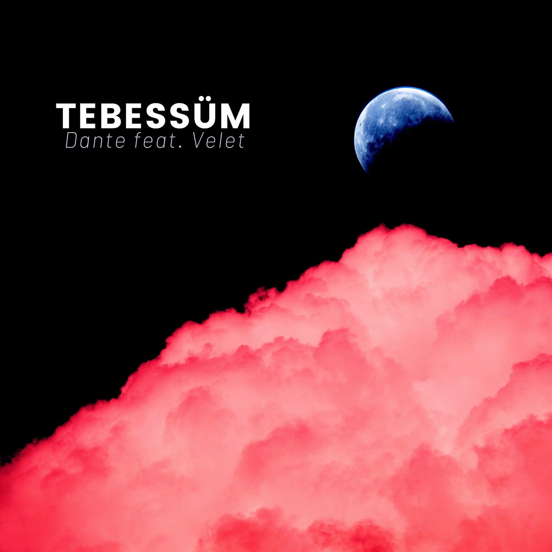 Постер альбома Tebessüm