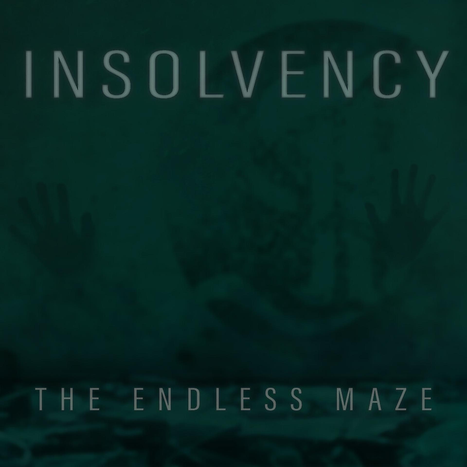 Постер альбома The Endless Maze