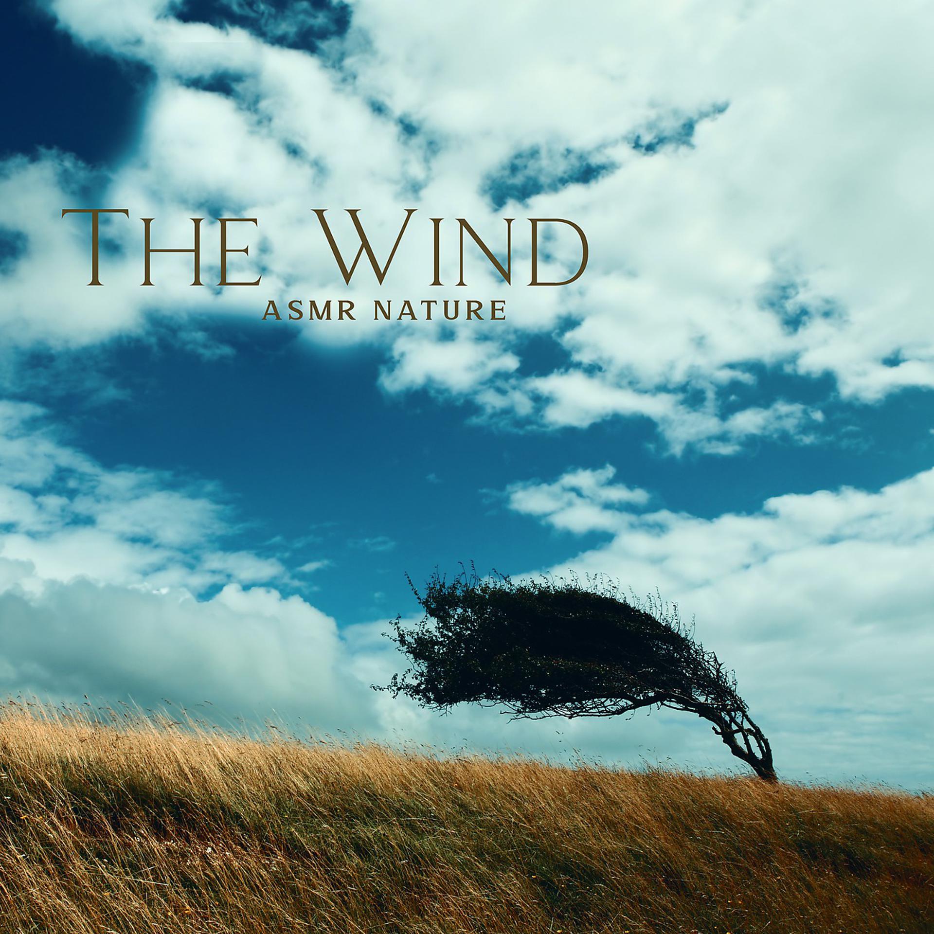 Постер альбома The Wind