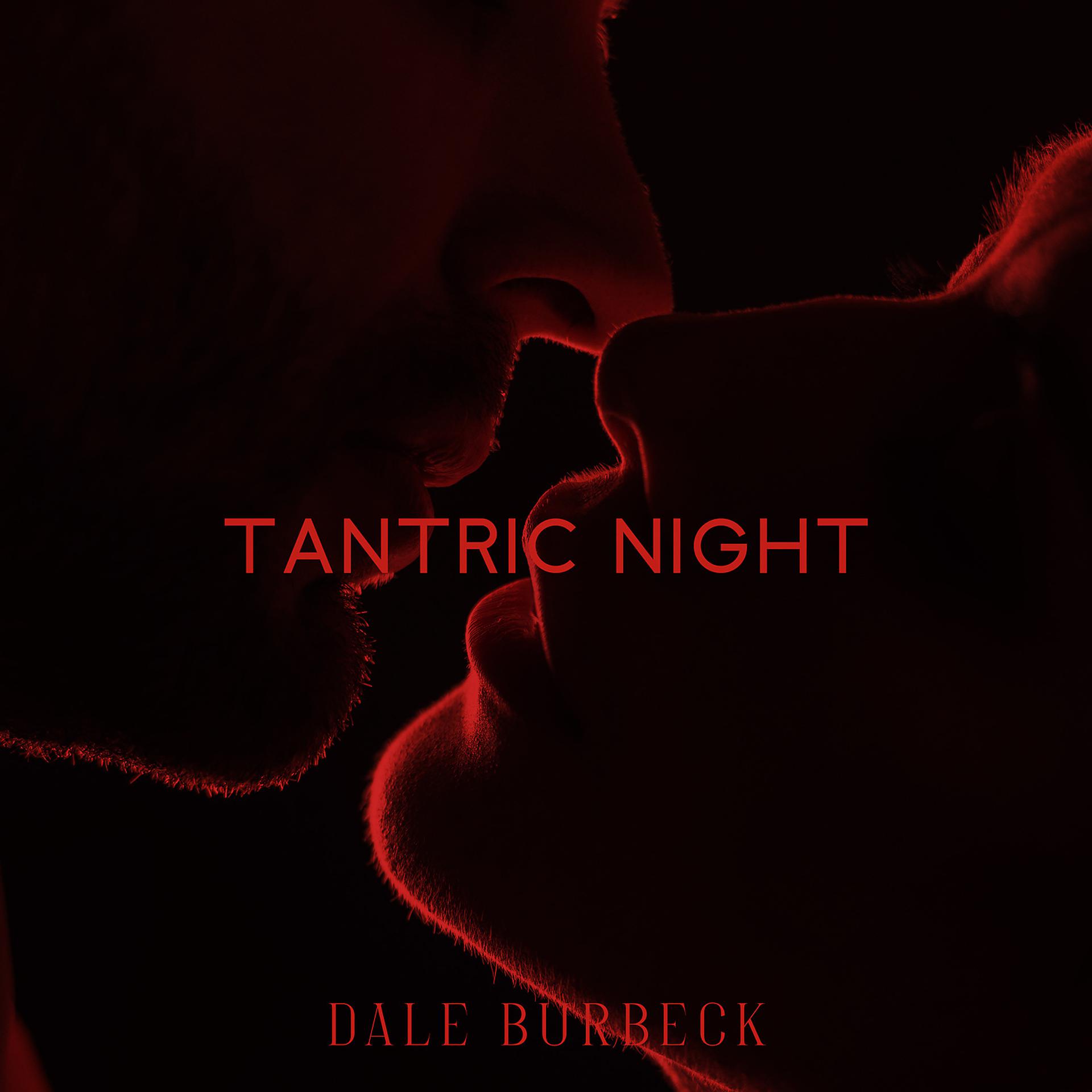 Постер альбома Tantric Night