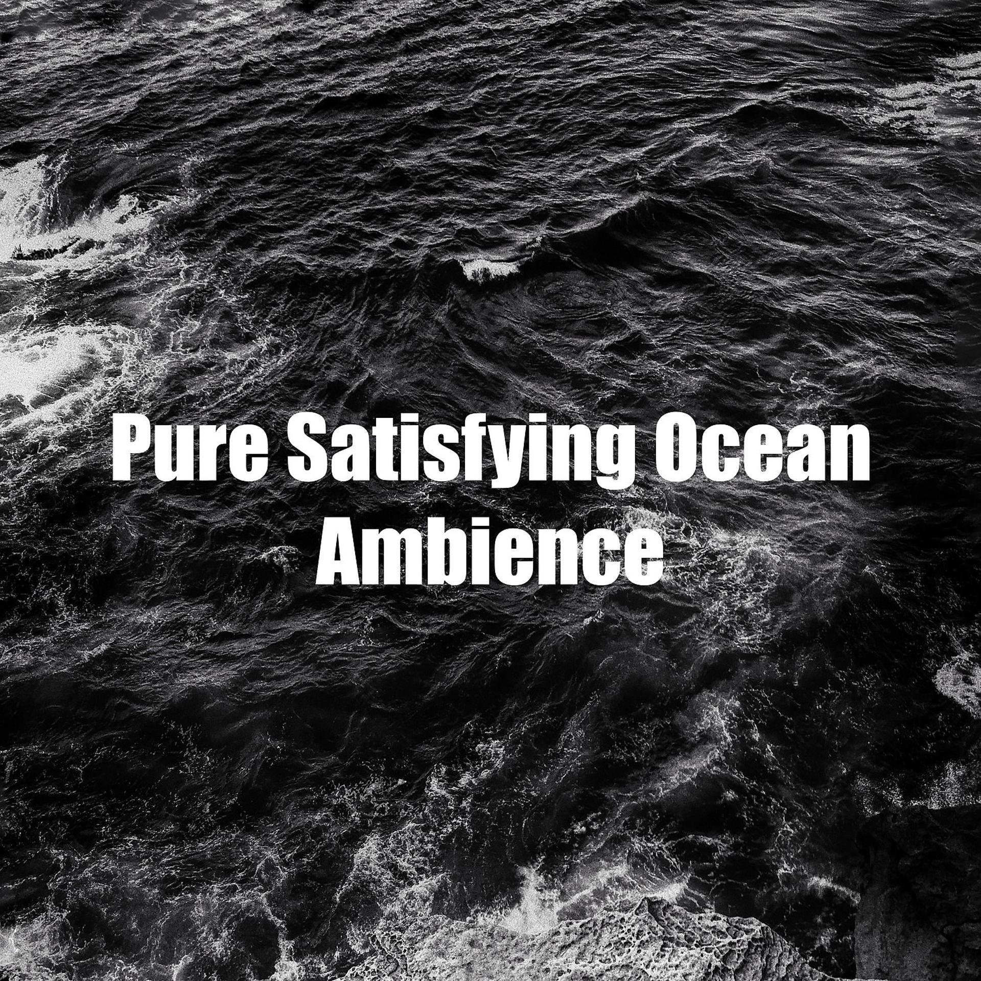 Постер альбома Pure Satisfying Ocean Ambience